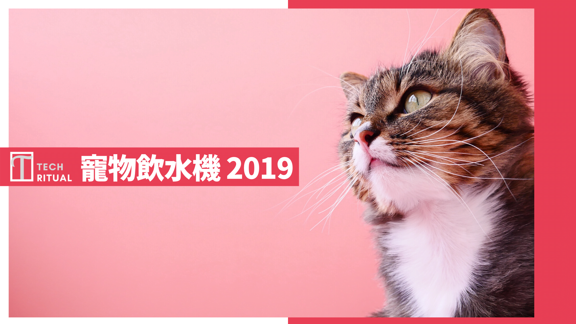 【推薦】寵物飲水機評價 2019：Petkit、Petoneer 比較、使用要點及問題