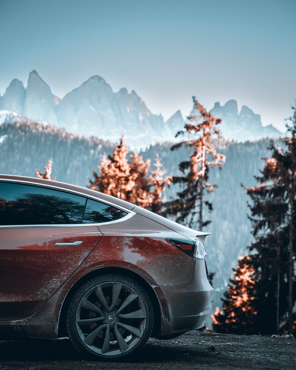 red tesla car parked near the tall trees