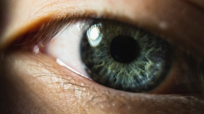 close up photo of an eye green and white eye