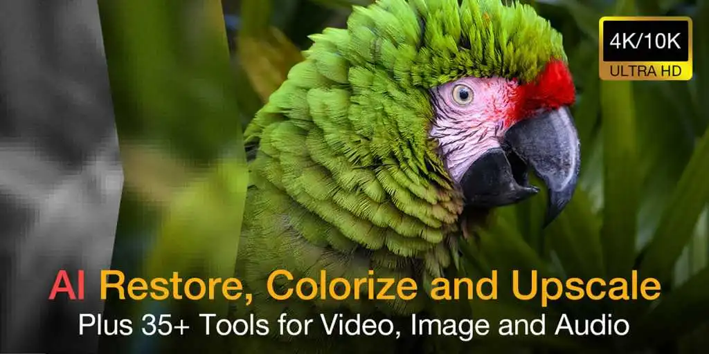 AI 視頻編輯器 VideoProc 功能概覽