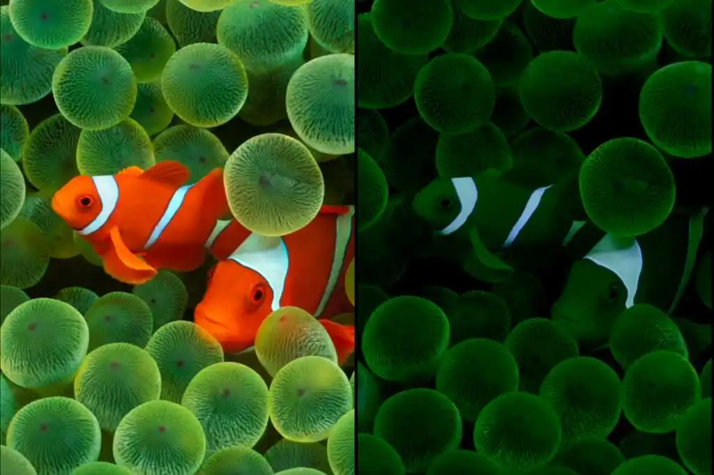 iPhone 17 Air 的新顯示解析度在 iOS 26 測試版中曝光