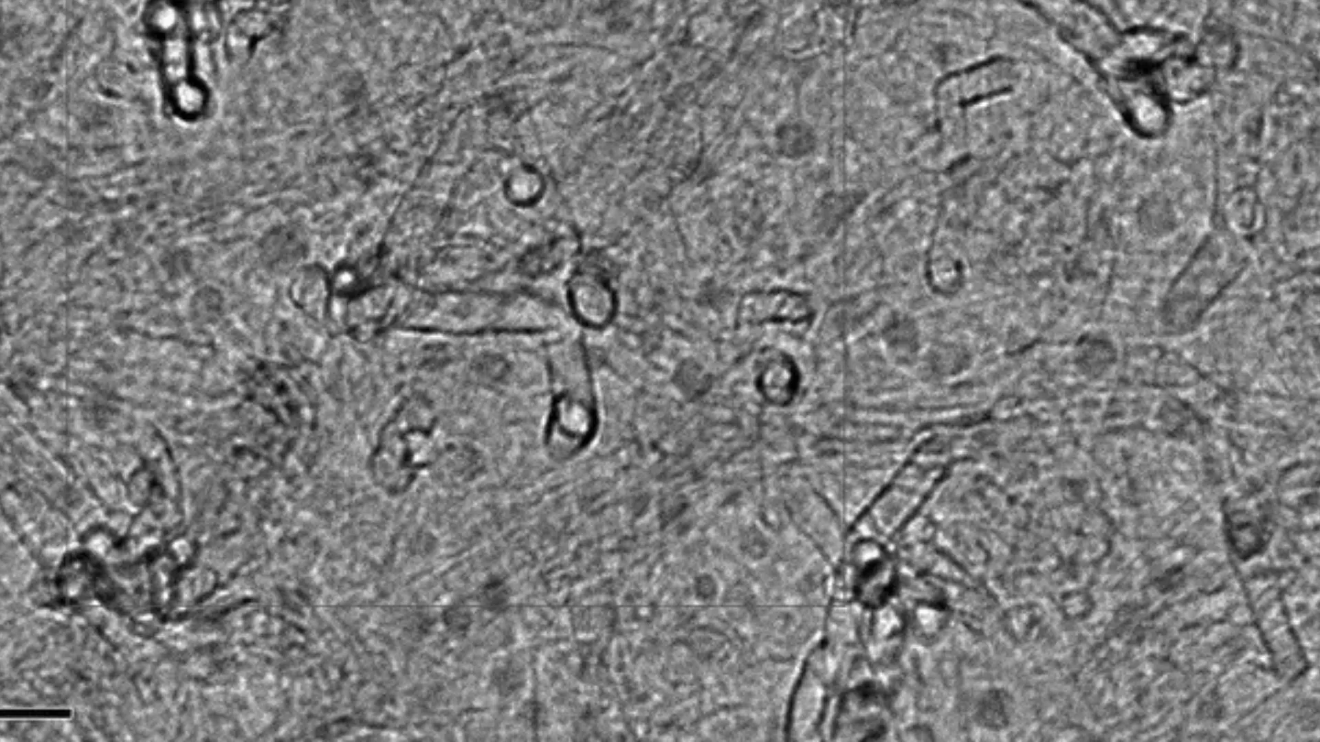 研究團隊利用納米粒子技術提升電子設備散熱效率