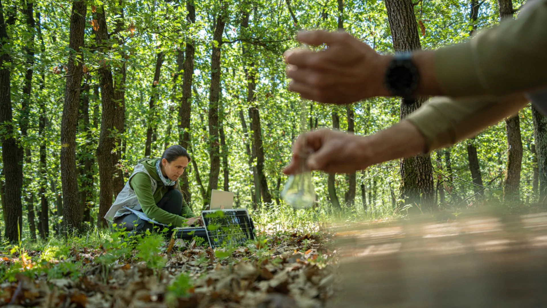 AI 技術助力農業疾病即時預警系統