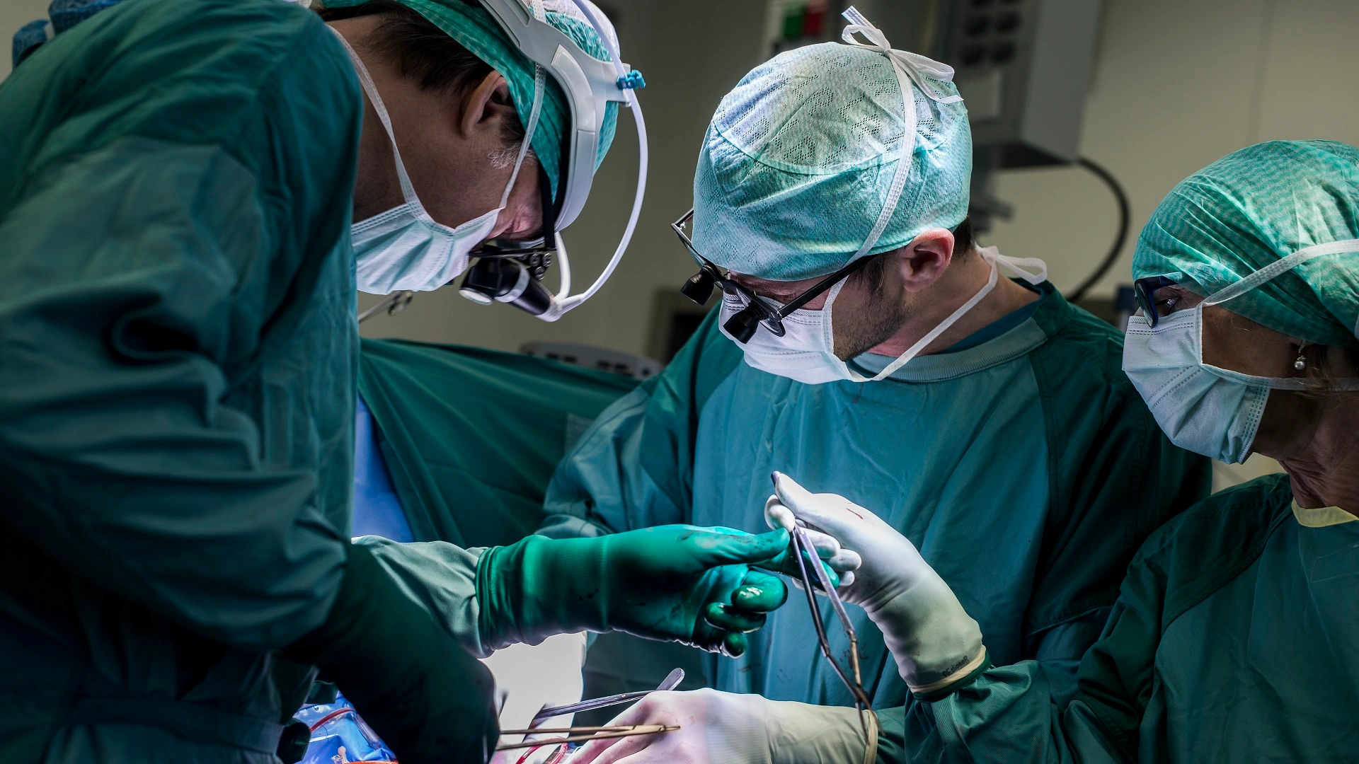 Vanderbilt 科學家開發新技術 使死亡捐贈者心臟恢復活力