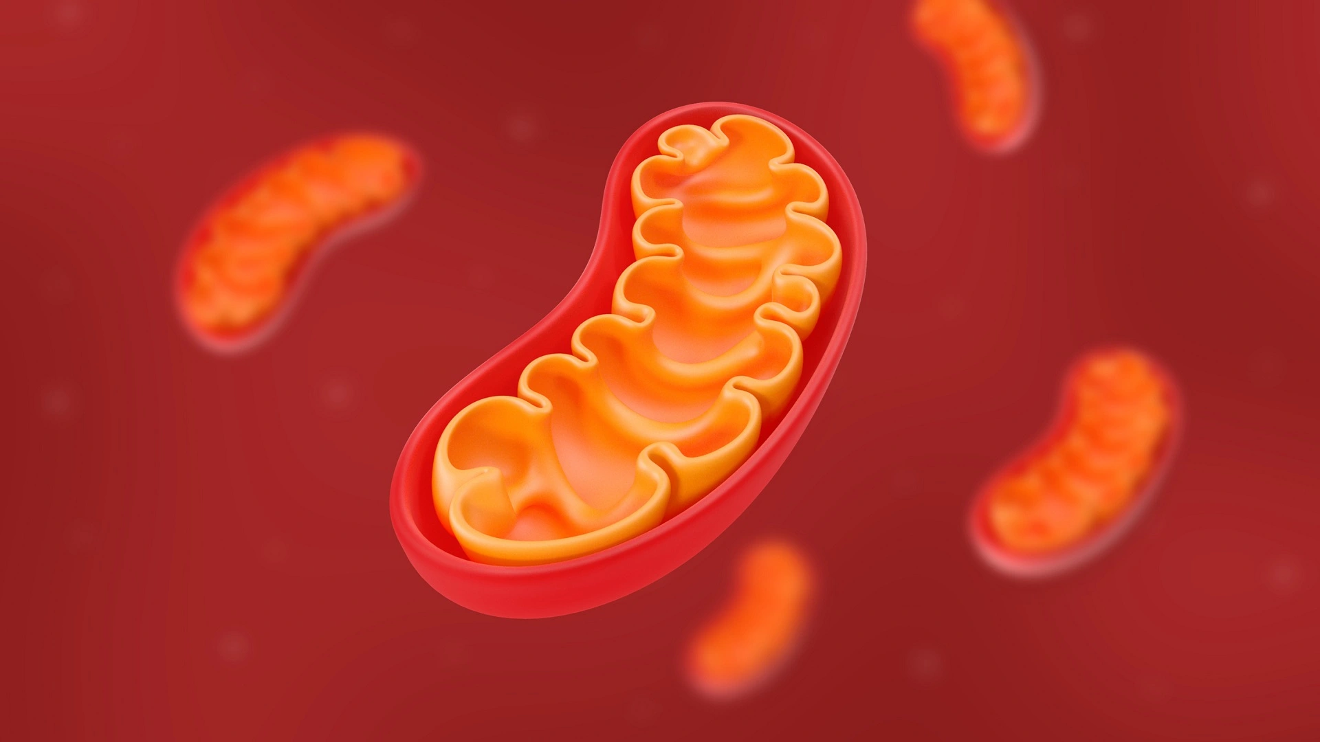 科學家開發新分子以保護線粒體DNA免受損害