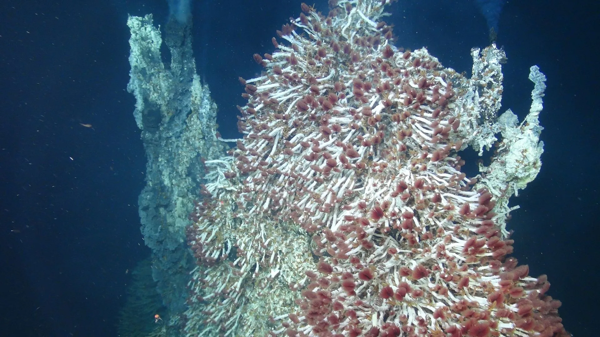 深海火山研究助力探索木星衛星歐羅巴的外星生命可能性