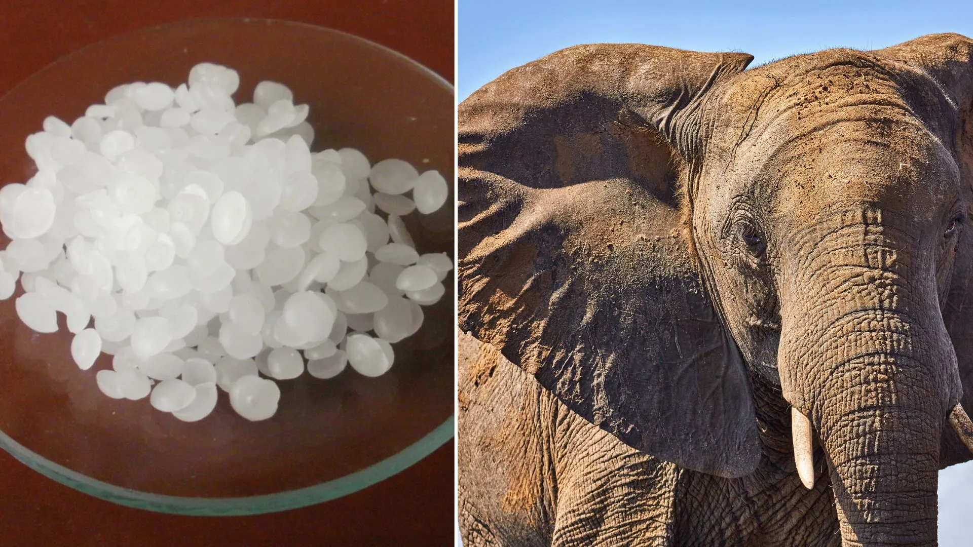 新型水泥材料可提升建築能效與舒適度