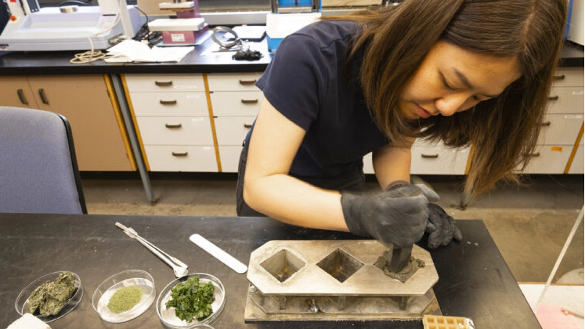 海藻助力低碳混凝土的發展與機器學習應用