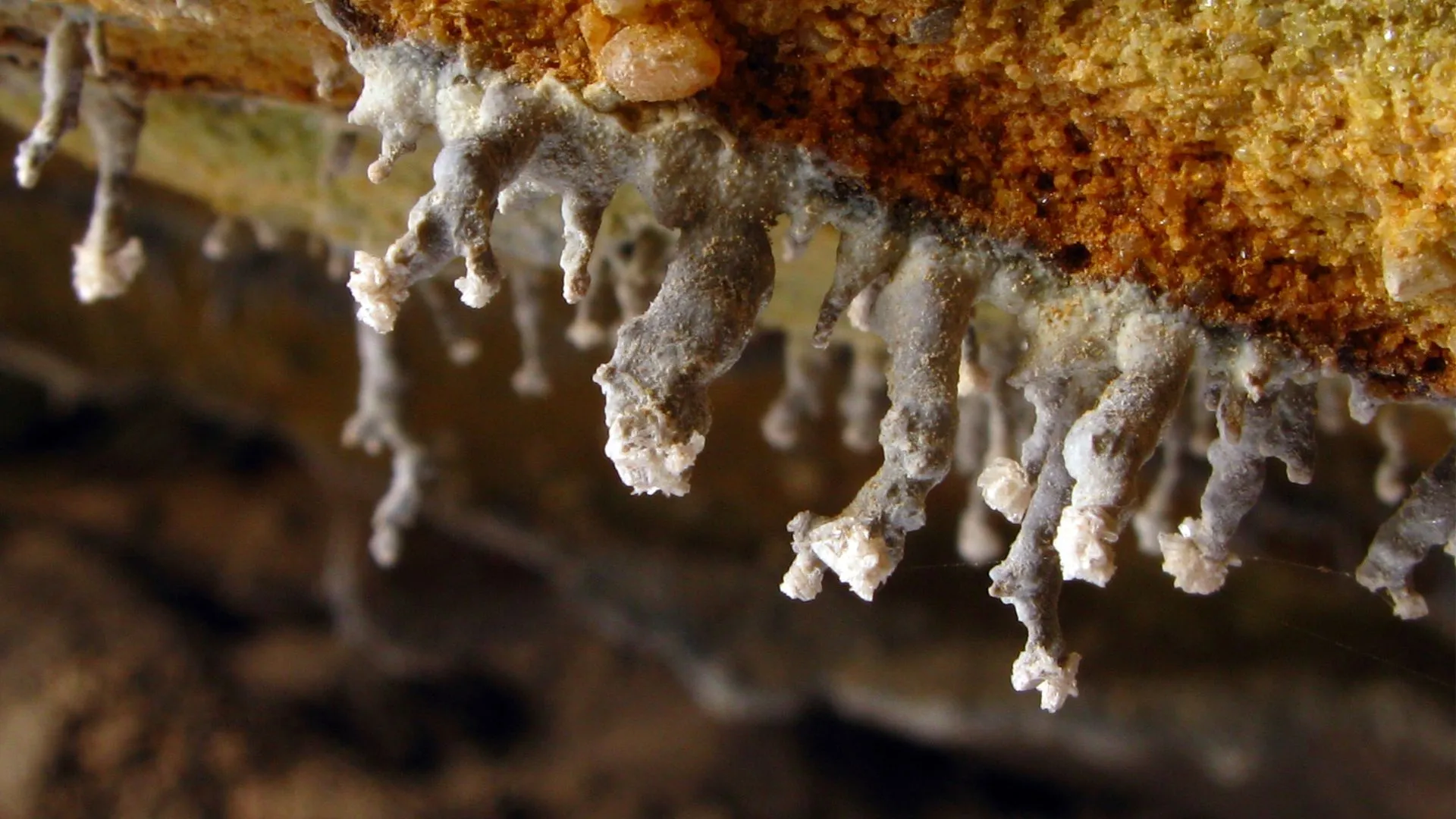 地下生態系統的新發現：岩石裂縫中的生命能量來源