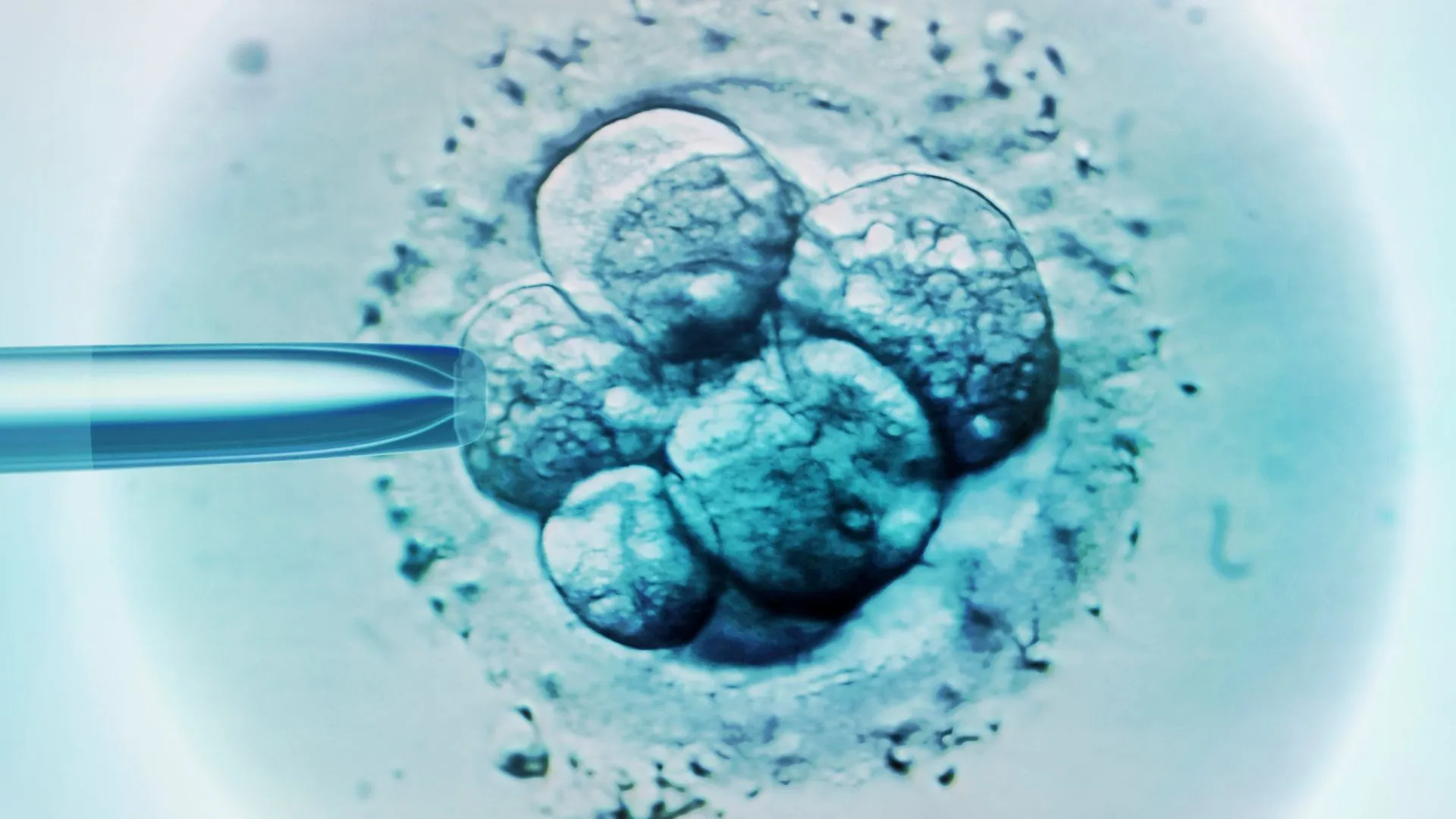 英國醫生利用創新技術成功誕生八名健康嬰兒，預防遺傳性線粒體疾病