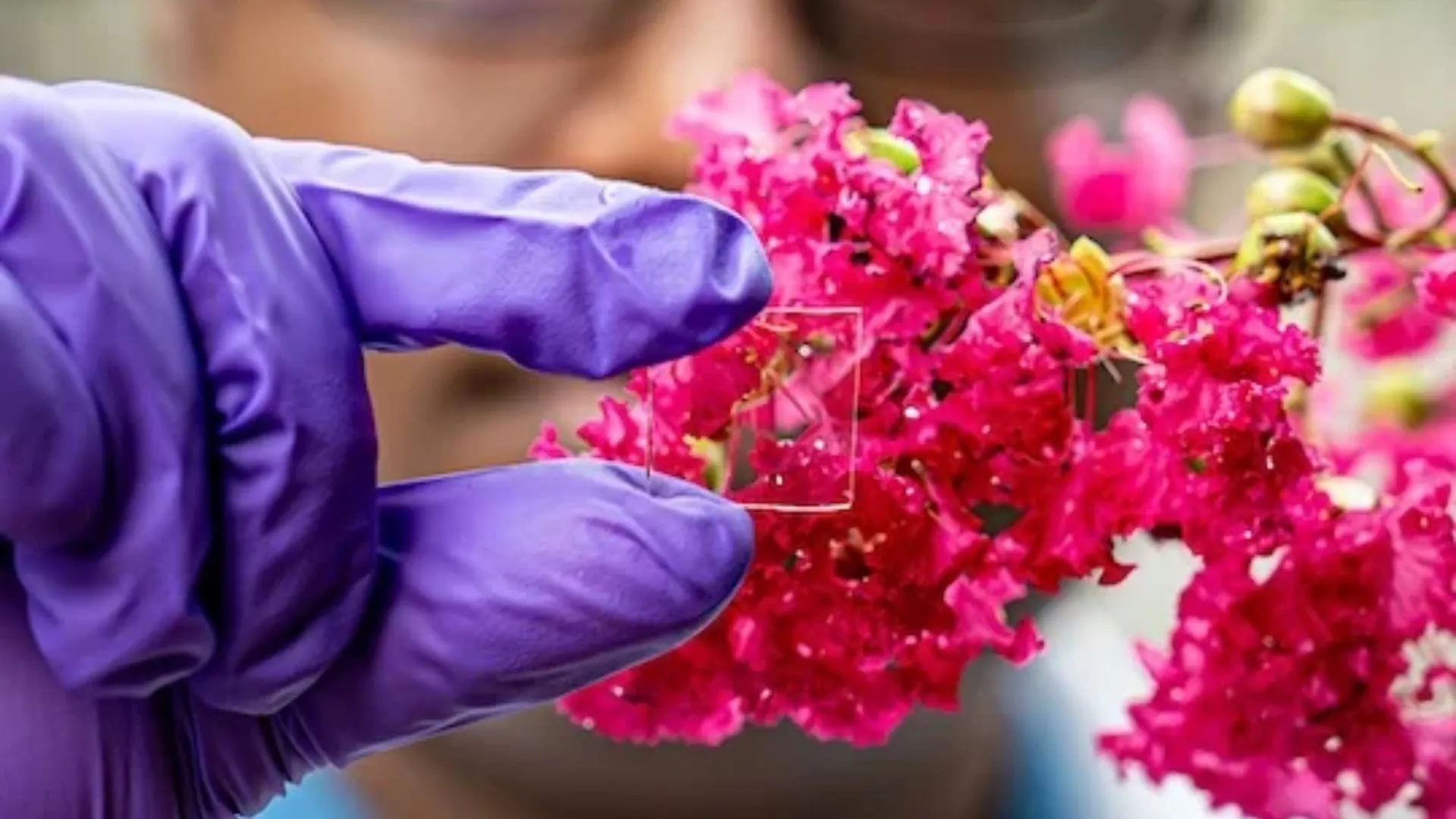 中美團隊合作研發新型玻璃塗層以應對熱量、寒冷及紫外線