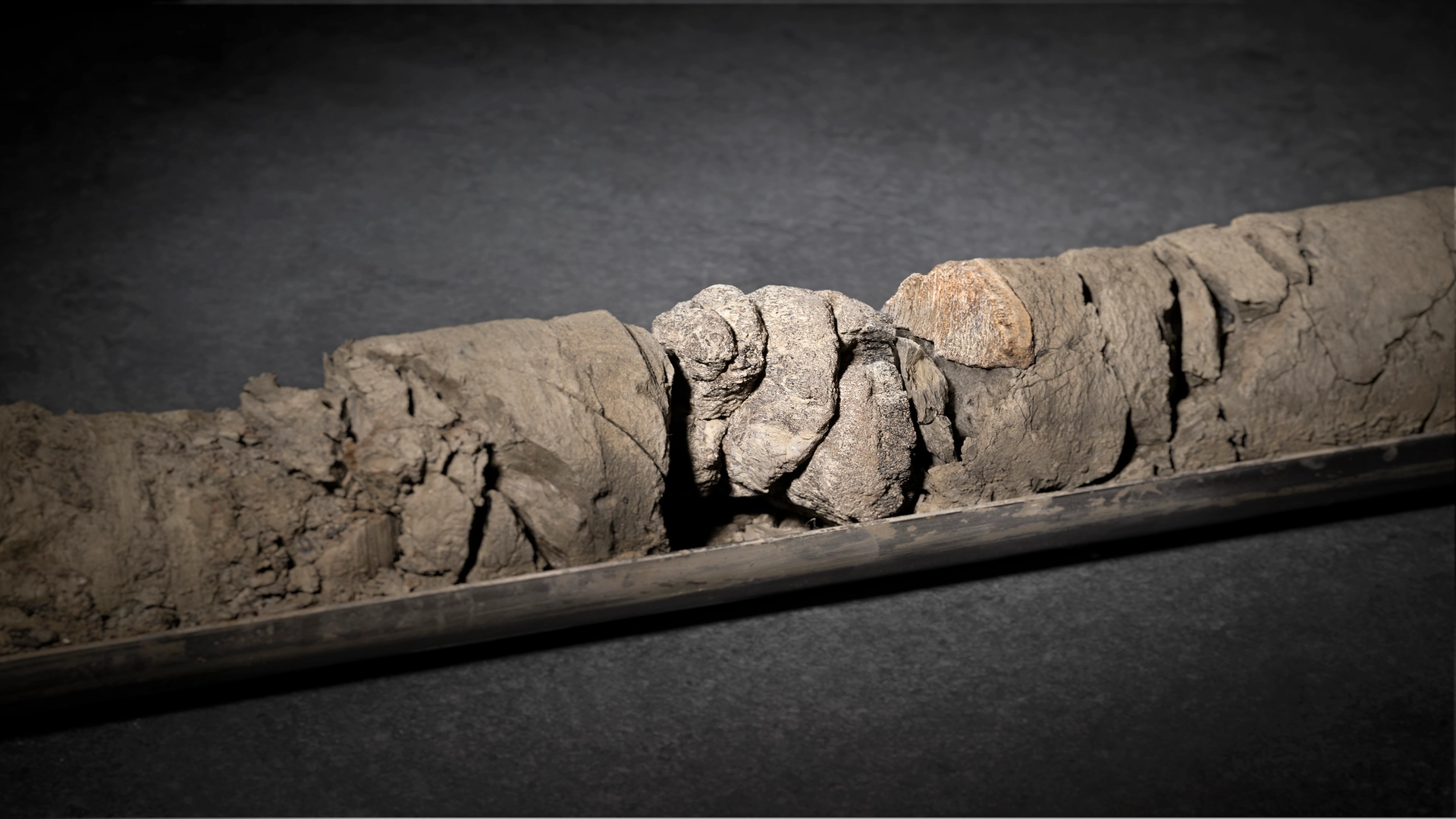 丹佛博物館意外發現 6,700 萬年前恐龍化石