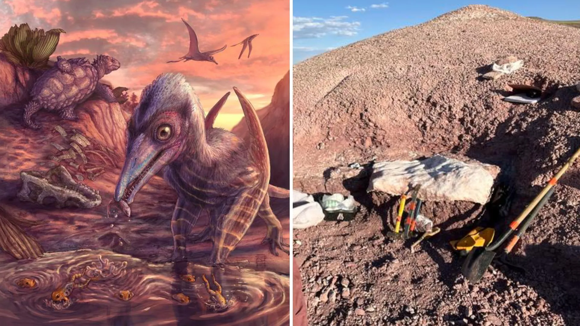 北美最古老翼龍化石及其生態系統的發現