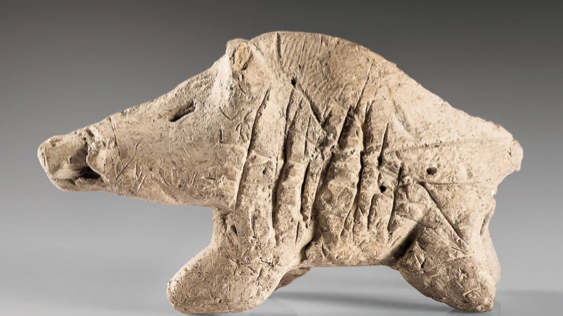 古代伊朗的野豬遺跡揭示了 11,000 年前的盛宴文化