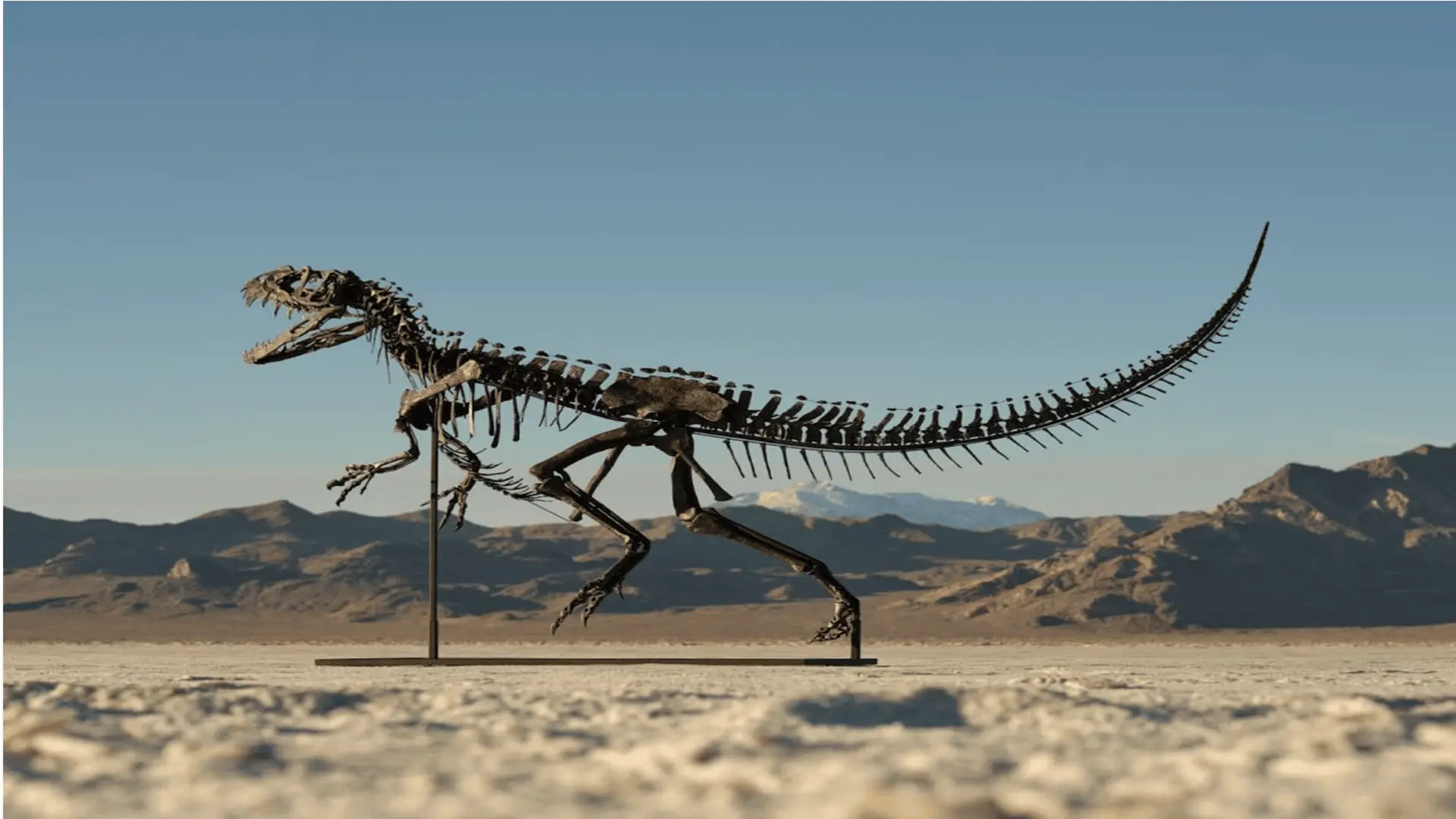 唯一完整幼年恐龍化石將於拍賣會上亮相