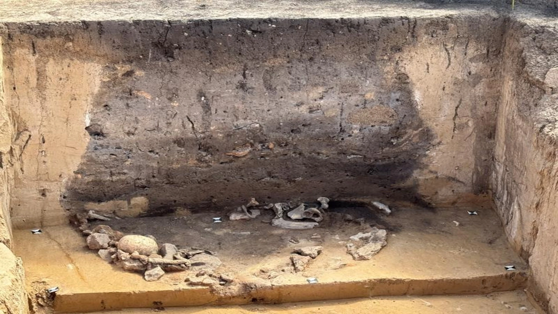 德國發現 5,000 年歷史的坑洞，揭開新石器時代的神秘面紗