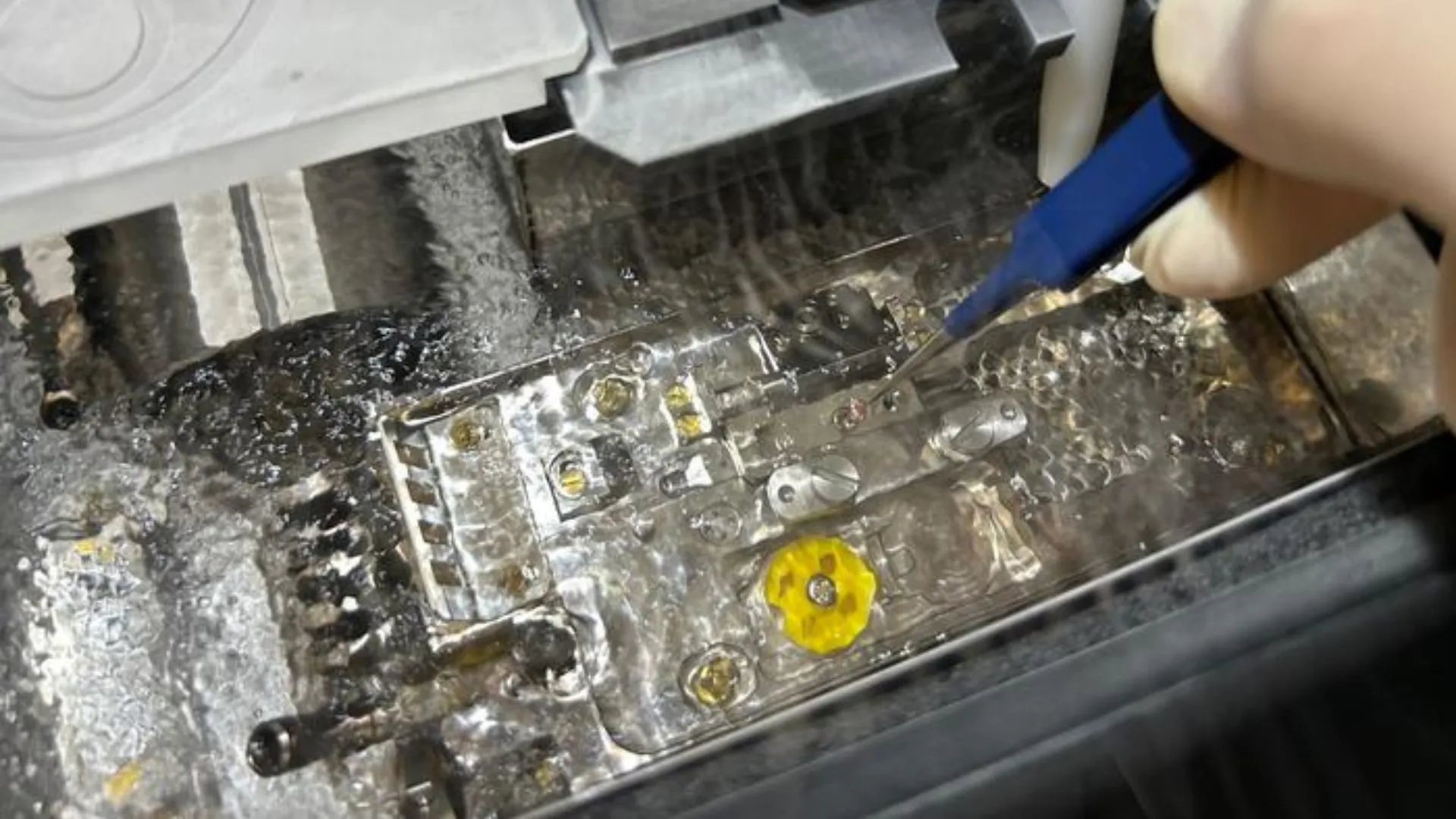 新技術下的冰凍有機顆粒影像映射