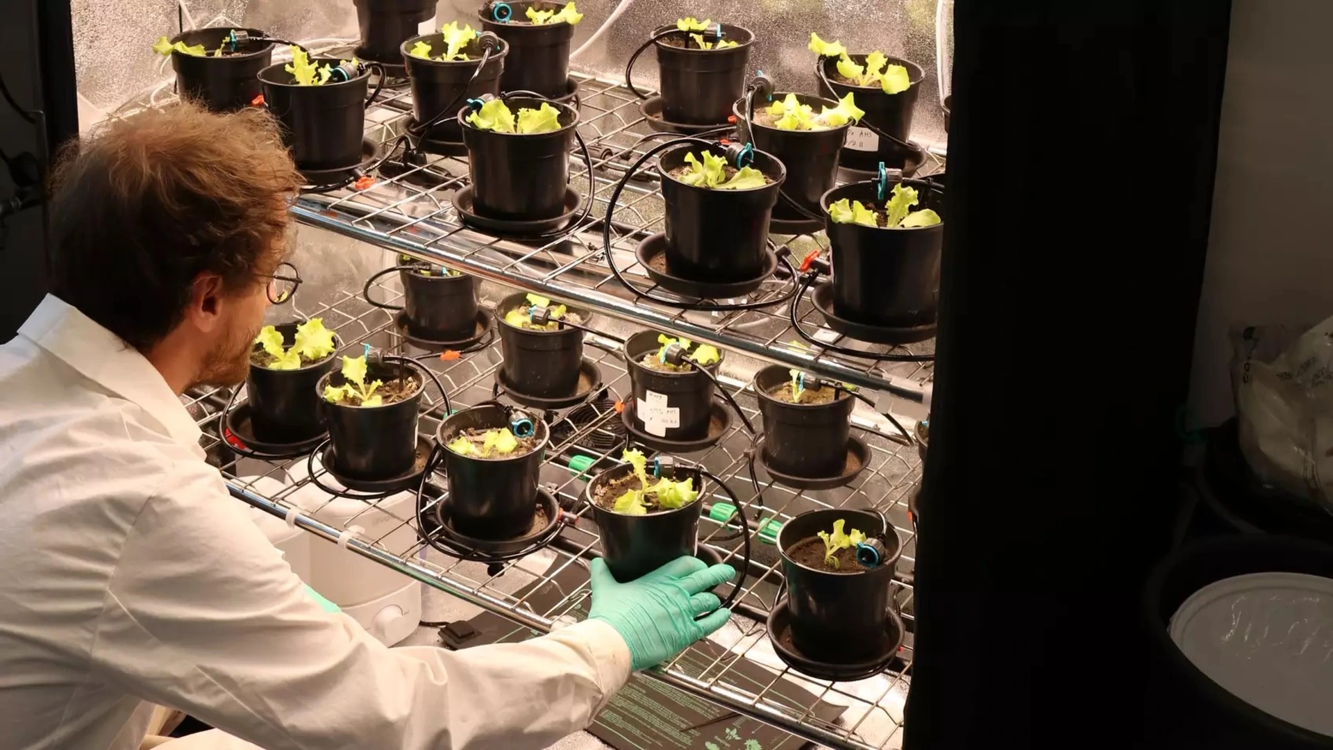 德國利用壓力烹調技術減少每公頃 50 噸二氧化碳排放