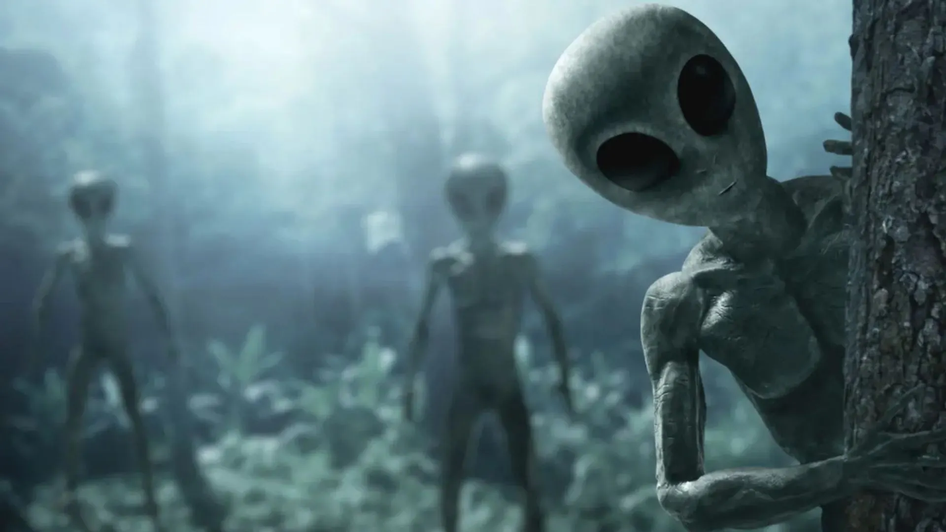 哈佛科學家聲稱神秘物體可能是外星飛船