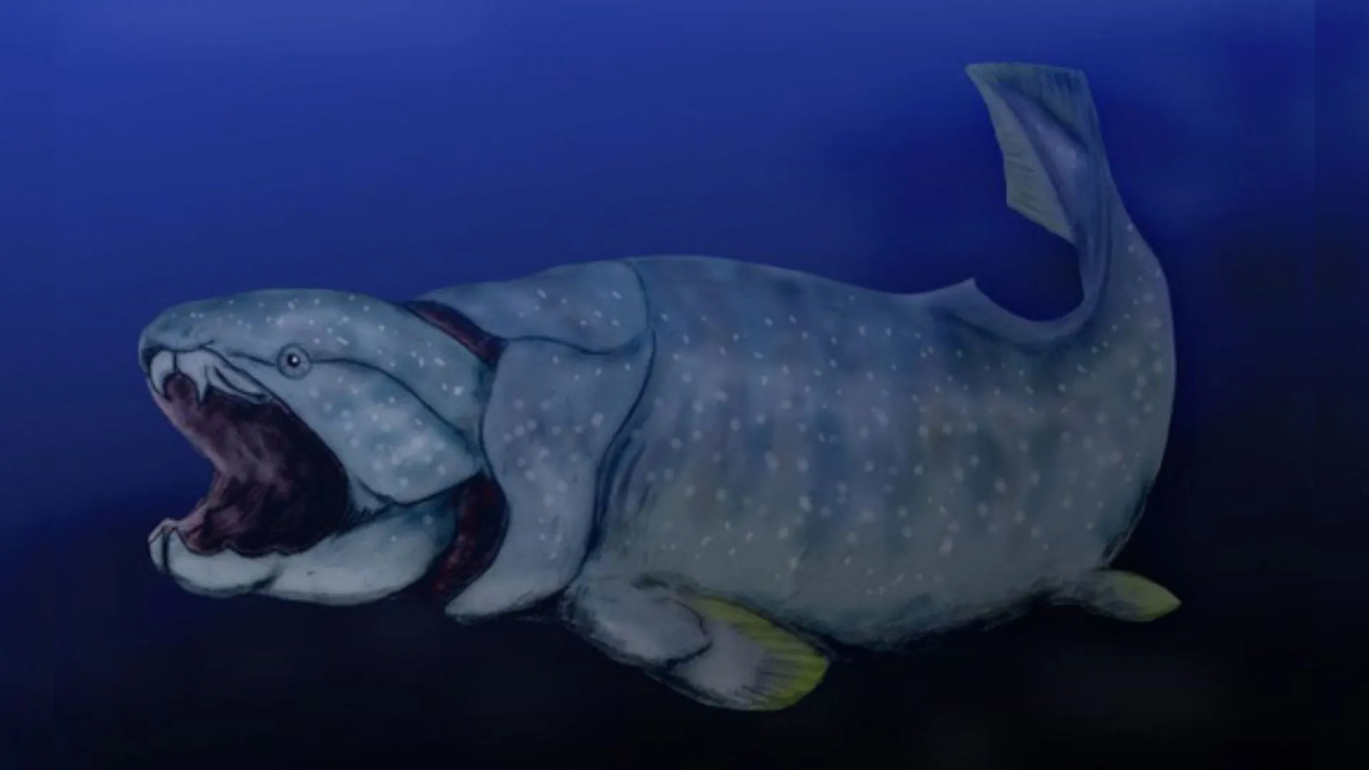 390 萬年前海洋氧氣上升對演化的影響