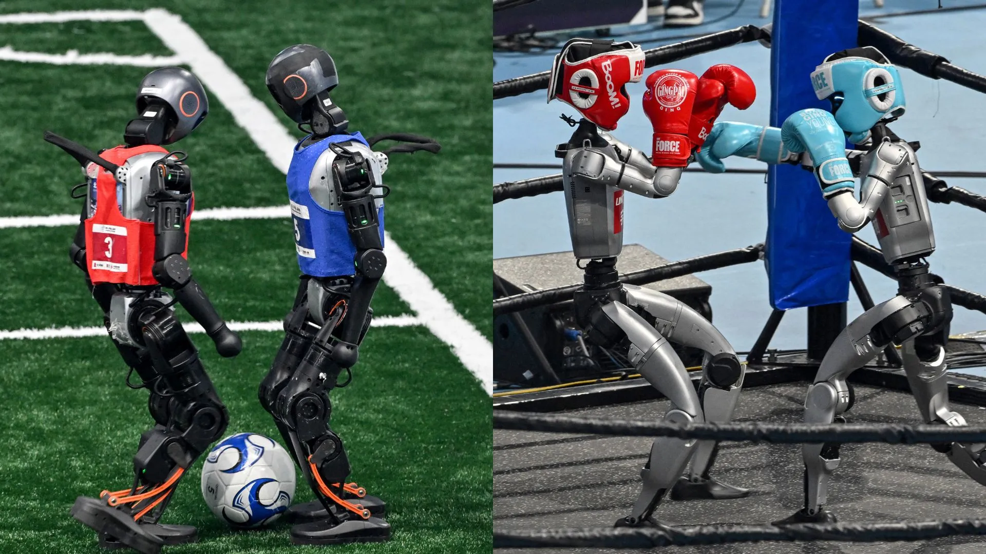 全球人形機械人運動會中的武術比賽