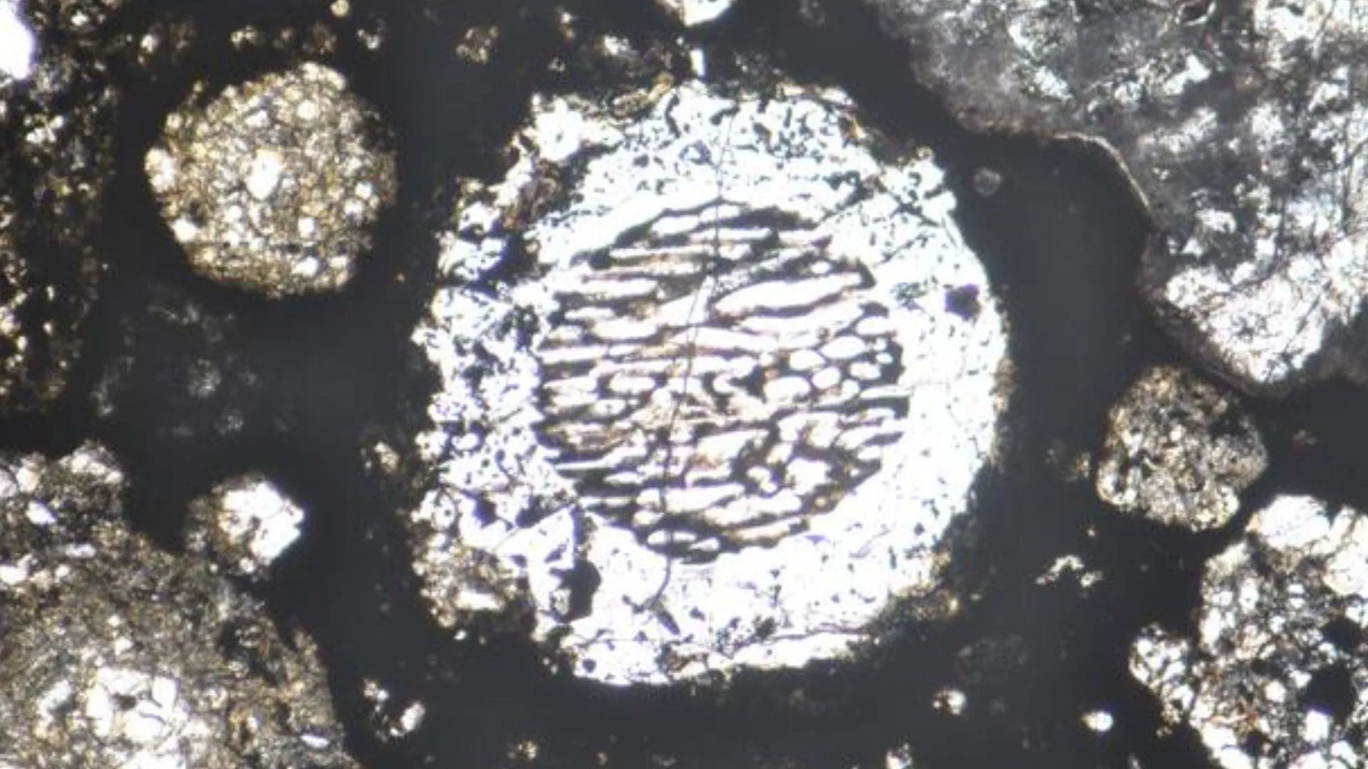 隕石中的熔融液滴有助於確定木星的形成時期