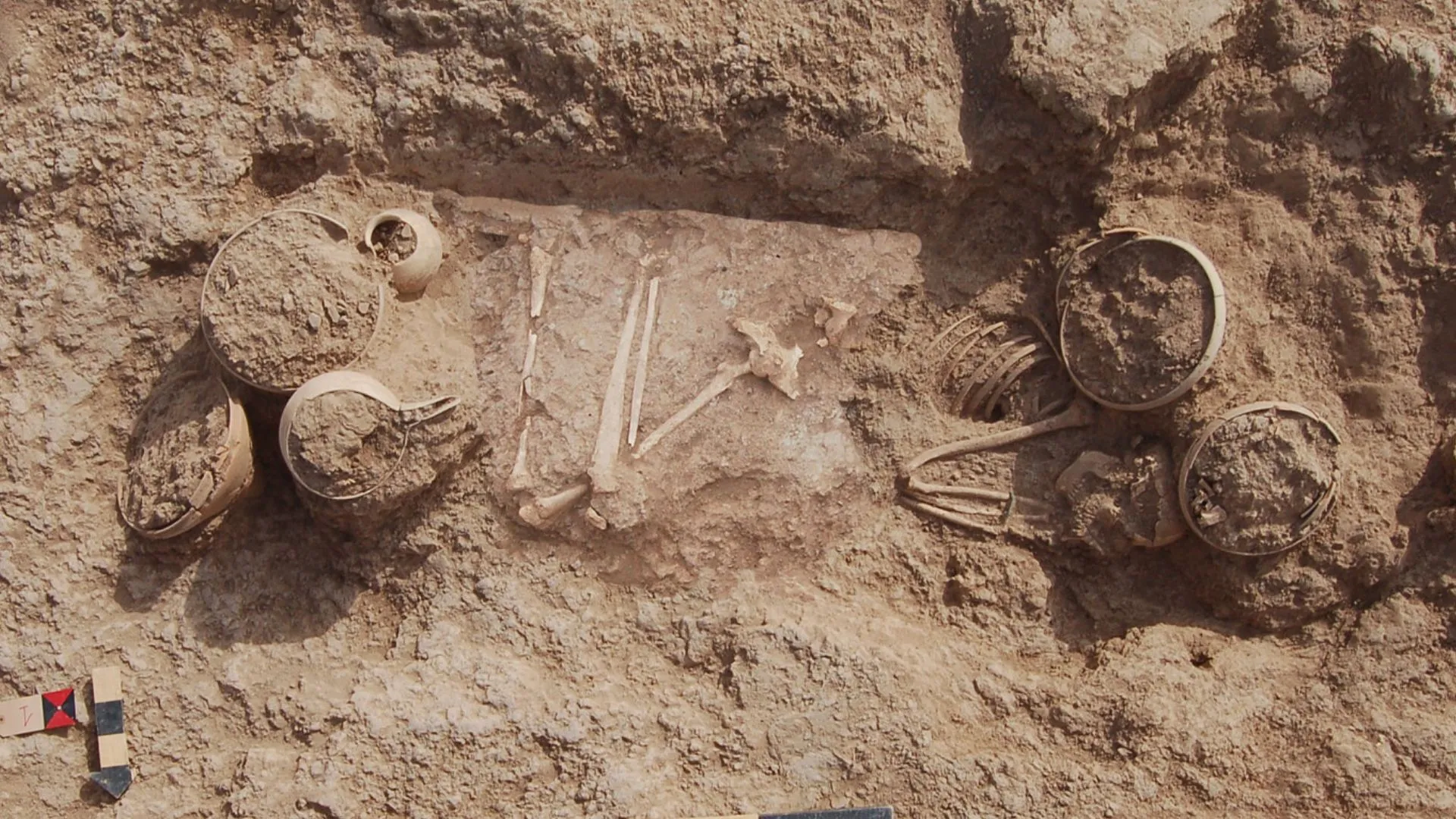 古代伊朗富裕青銅時代墓葬揭示女性權力地位