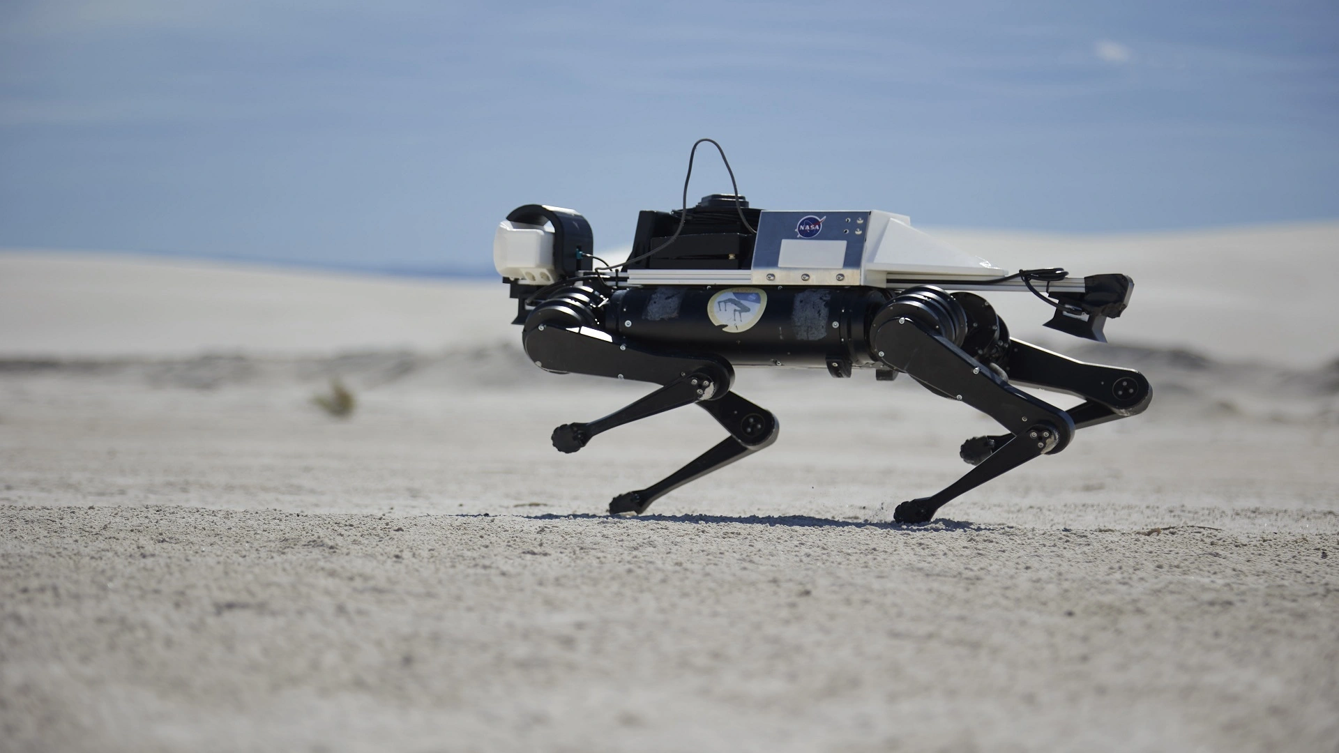 機器狗於白沙沙丘進行訓練以支持未來火星探索