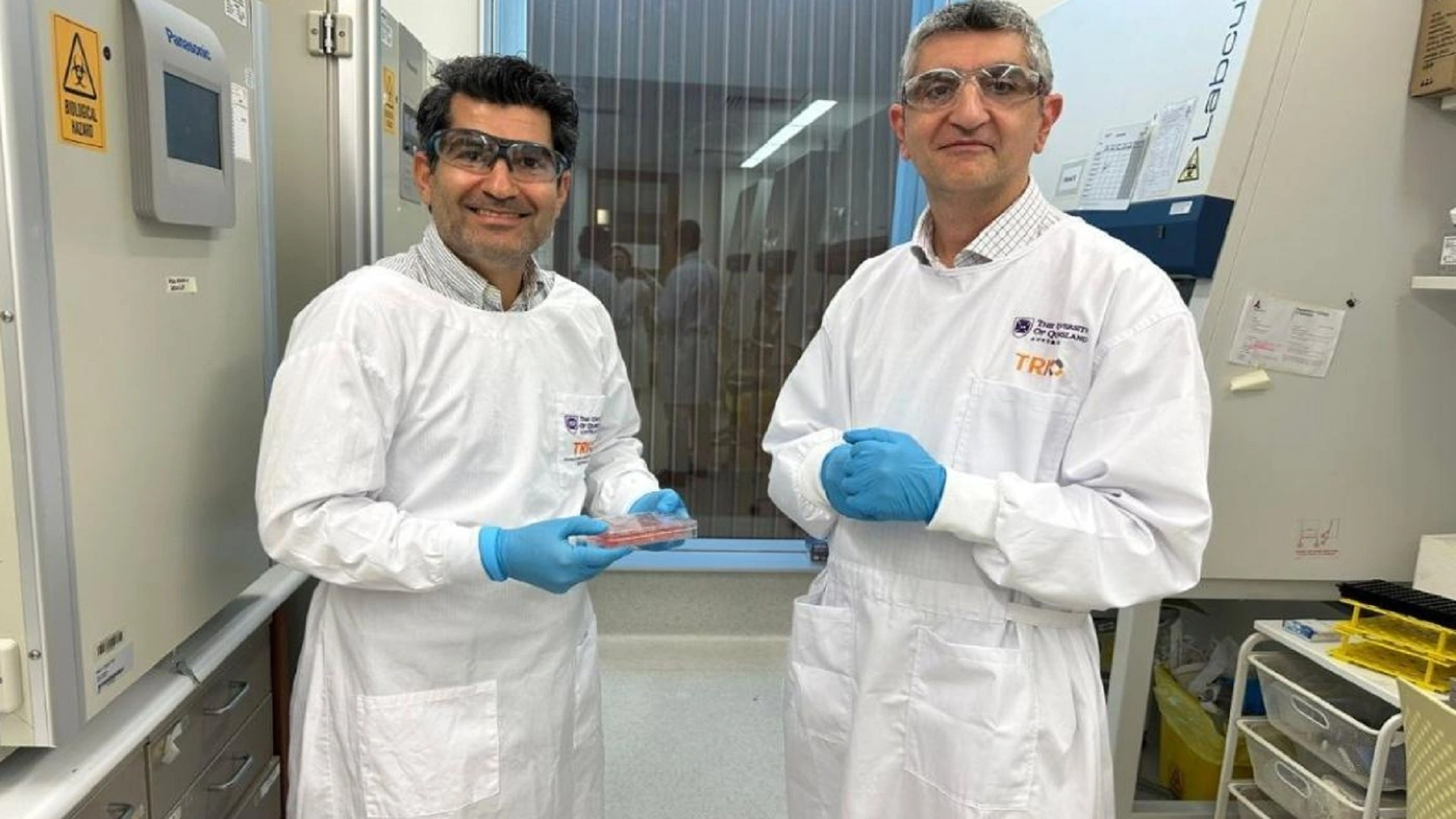 實驗室成功培養具血管和毛囊的人類皮膚