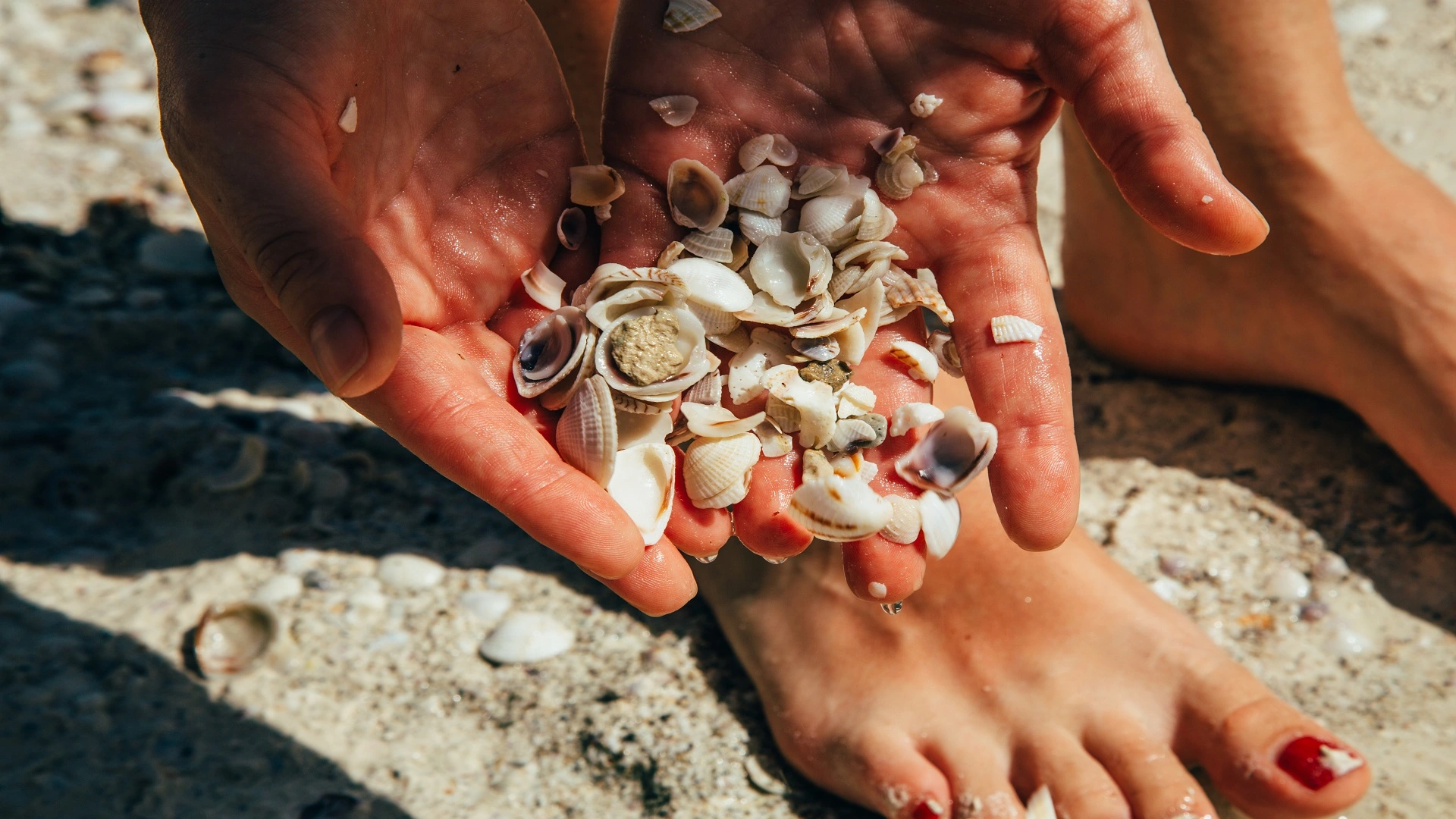模仿海貝殼提升回收塑料性能
