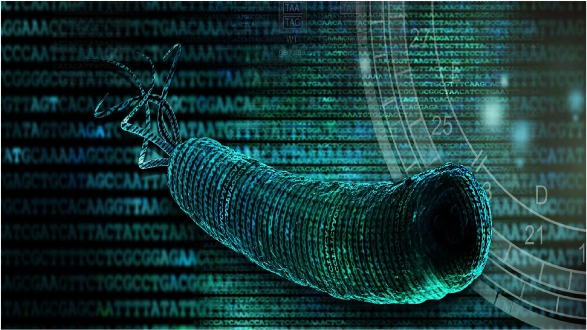 科學家創造抗病毒細菌的新方法