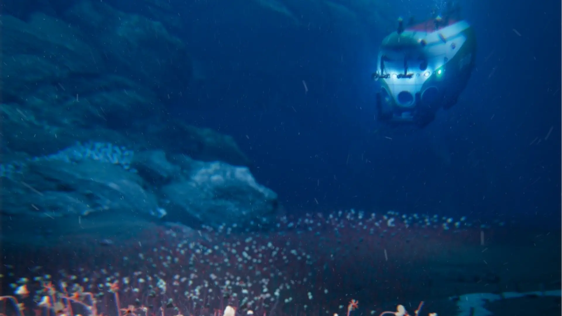 太平洋深處 31,000 英尺發現生命形式