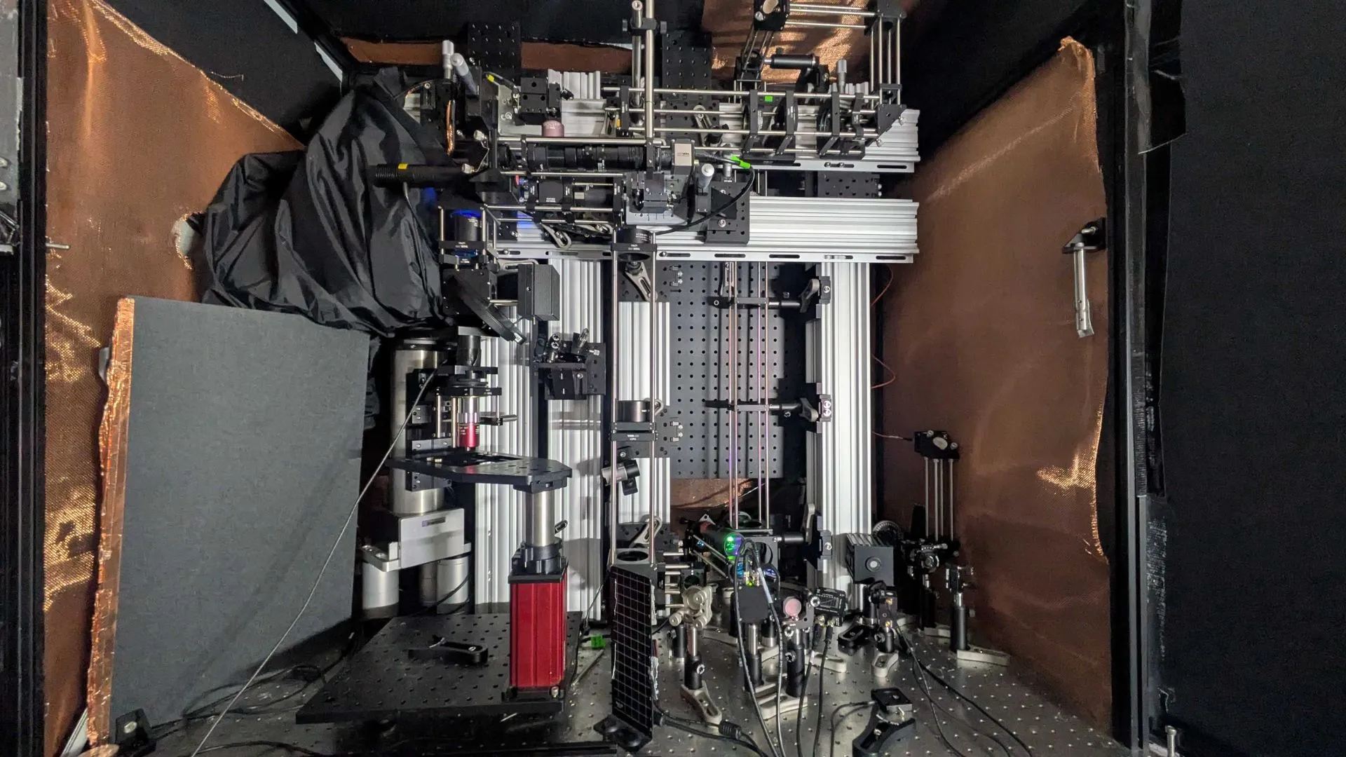 聲音驅動的腦部影像技術實現 5 倍深度觀察且不改變細胞