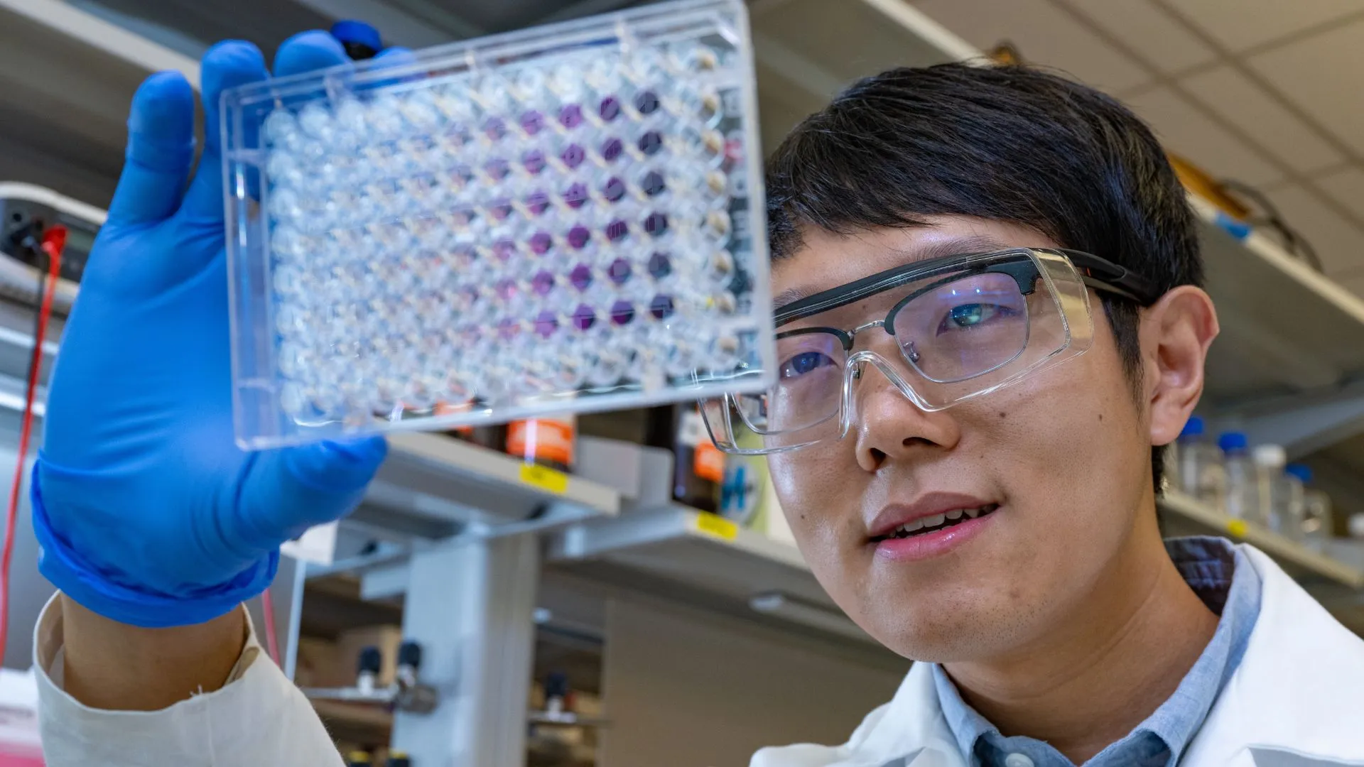 Vitamin K2 的新發現或可提升骨骼與心臟健康