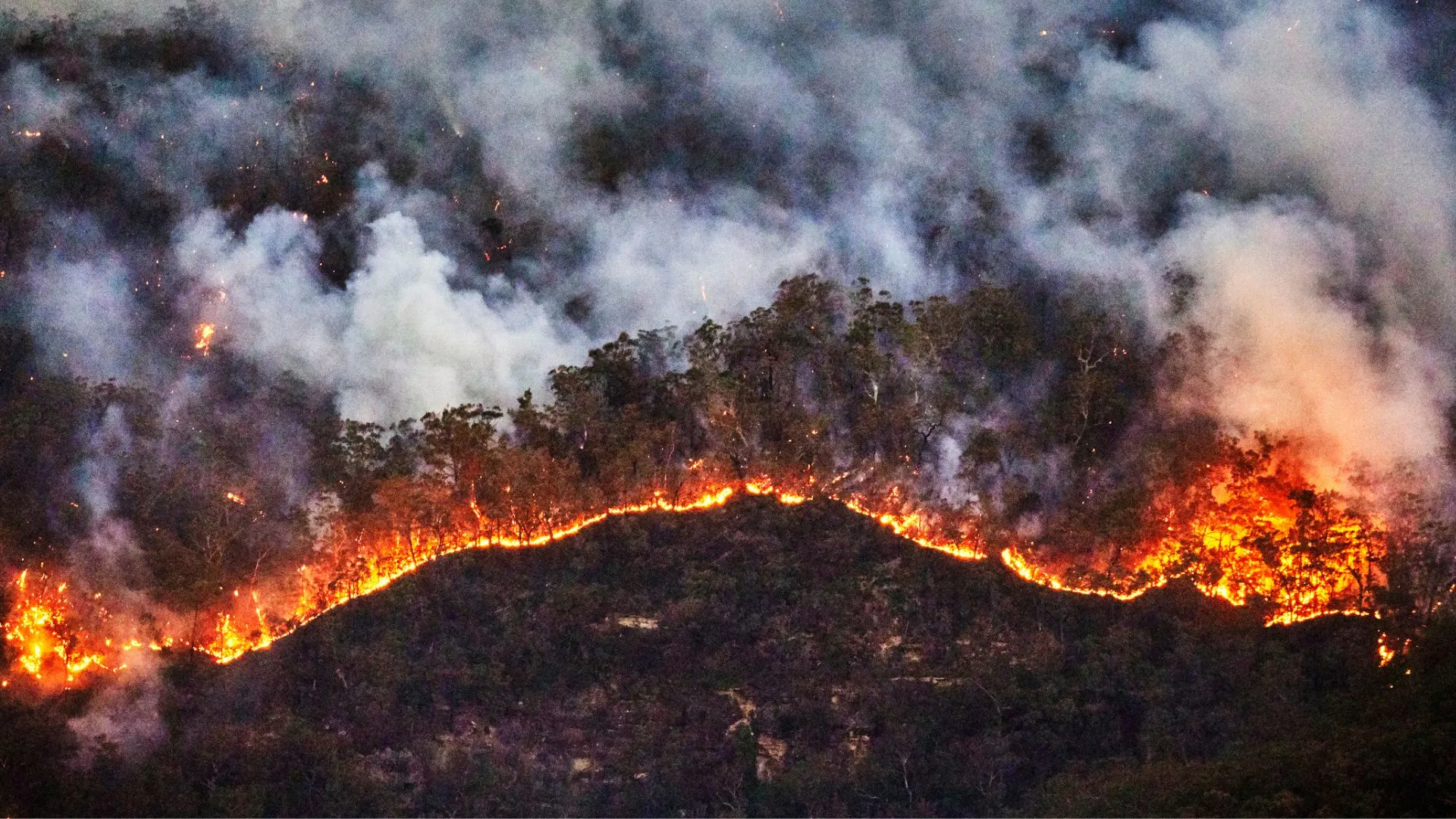 新研究顯示野火煙霧導致的死亡人數被低估了 93%