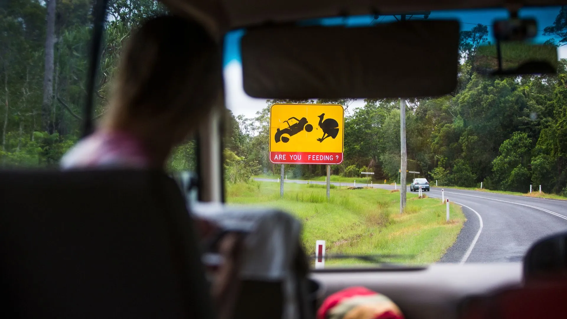 首個路邊人工智能技術測試以防止動物與車輛碰撞