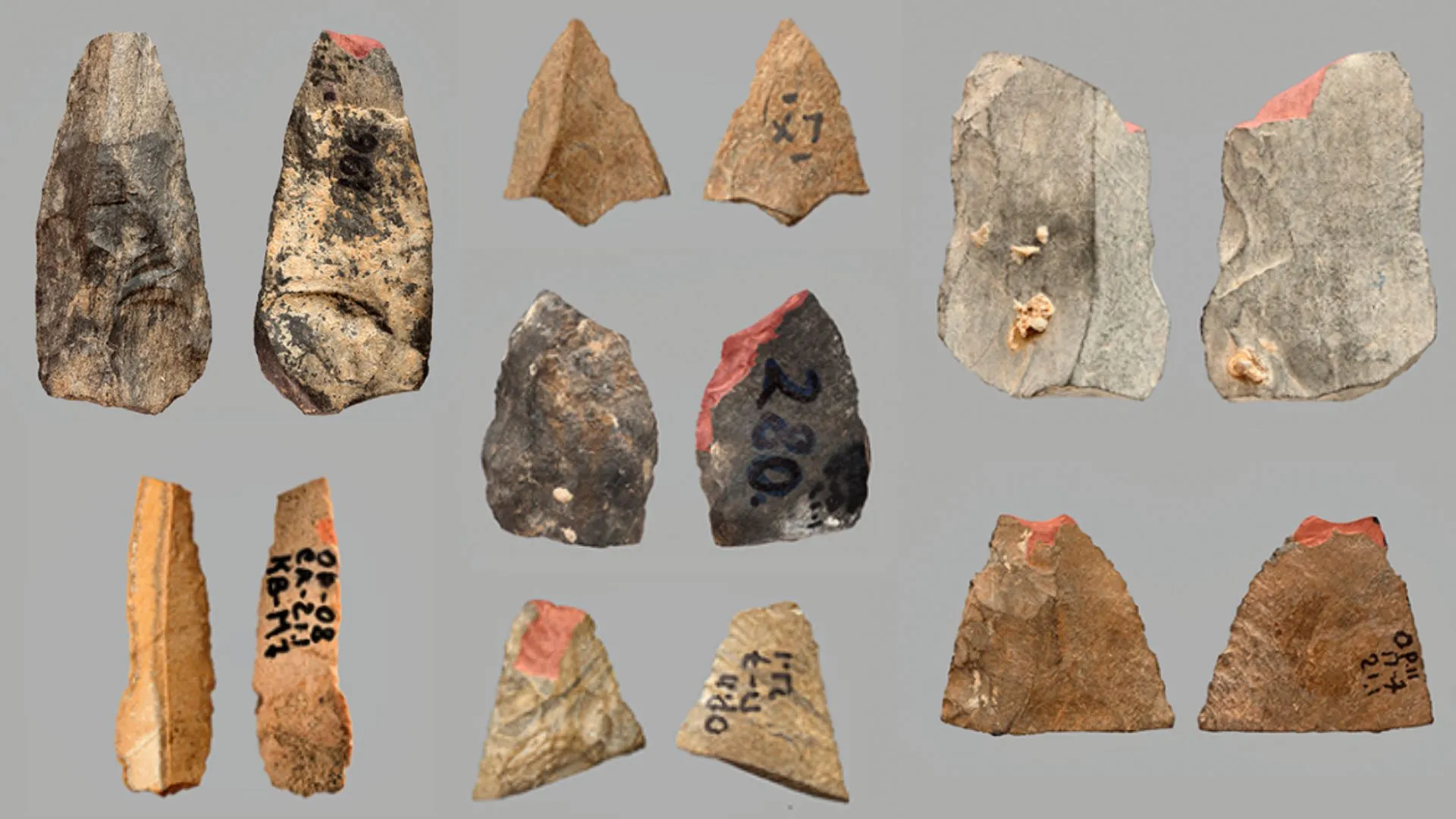 發現 80,000 年前的古老箭頭，與尼安德特人有關的烏茲別克遺址