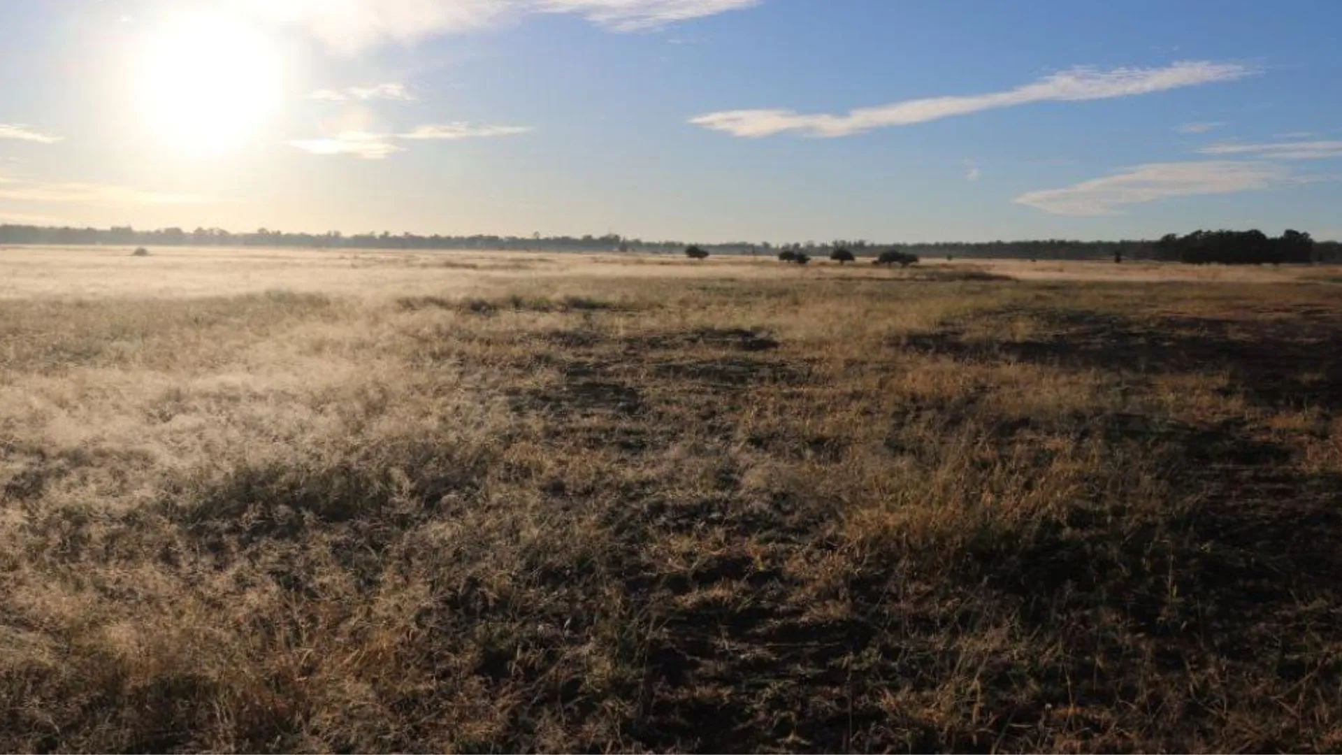 煤礦廢井洩漏甲烷量相當於 1,000 辛苦的汽車