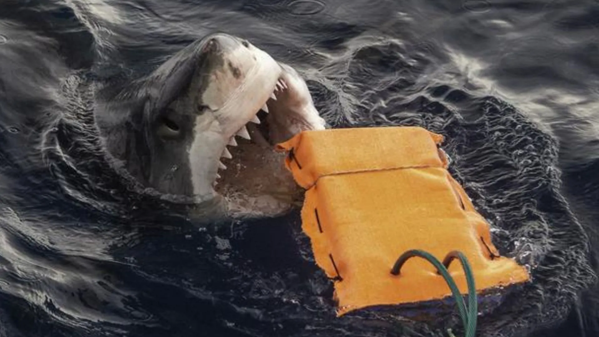 防咬潛水衣或助衝浪者安全對抗鯊魚攻擊