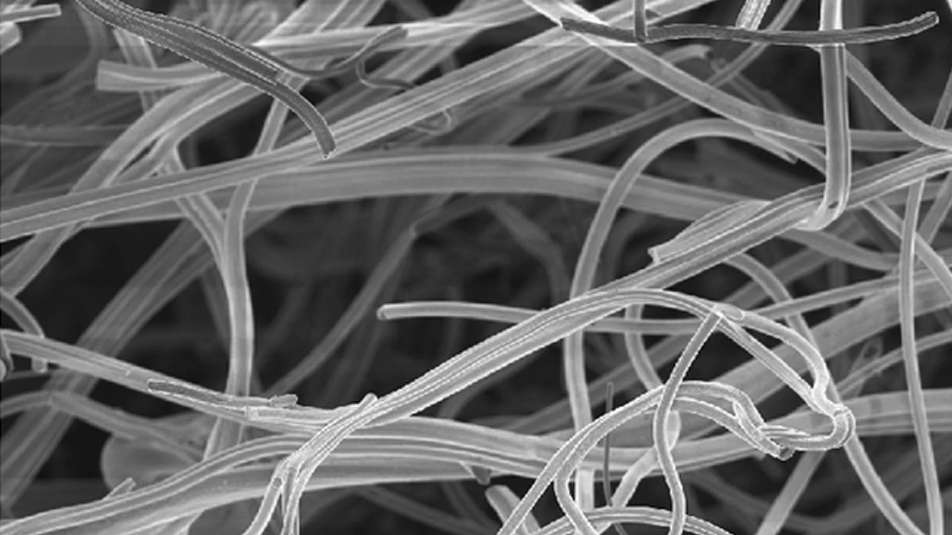 中國團隊研發新纖維 利用振動產生電力