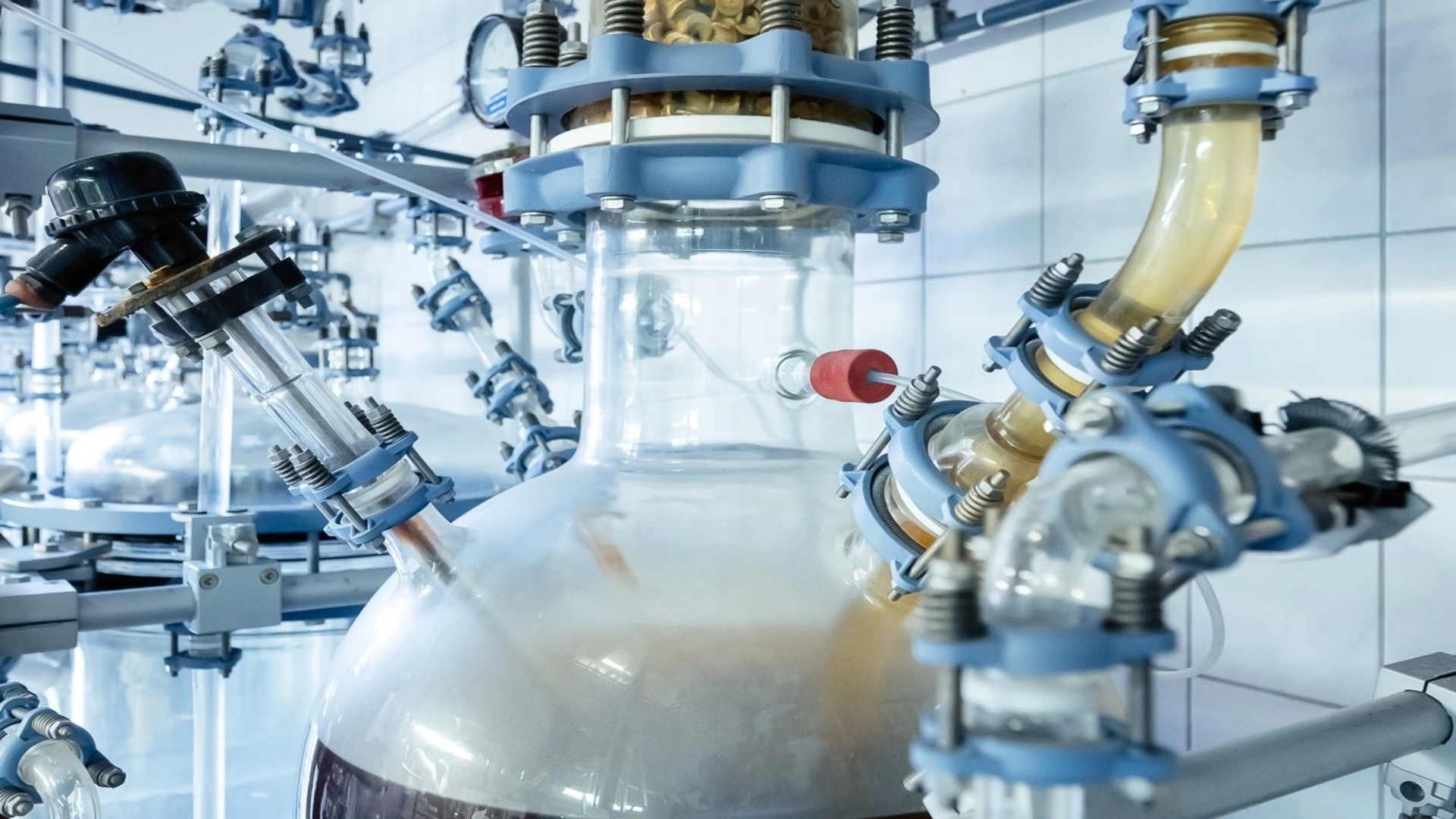 利用酵母類真菌從廢棄物中培養可食用塑料的技術進展