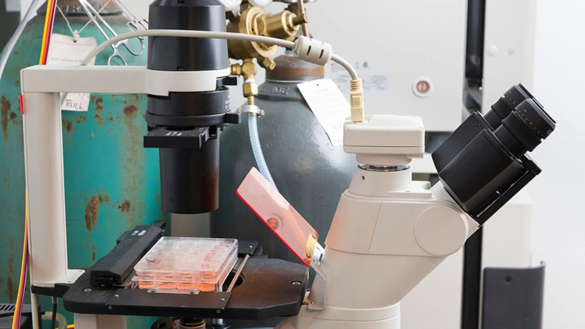 新型生物反應器設計提高治療囊泡產量三倍