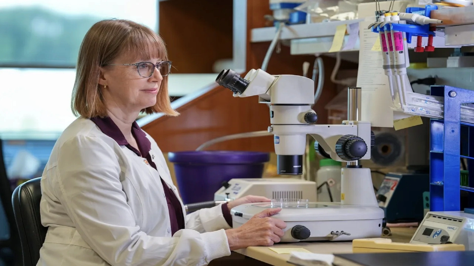 人類染色體融合的具體位置在重要 DNA 研究中被確認