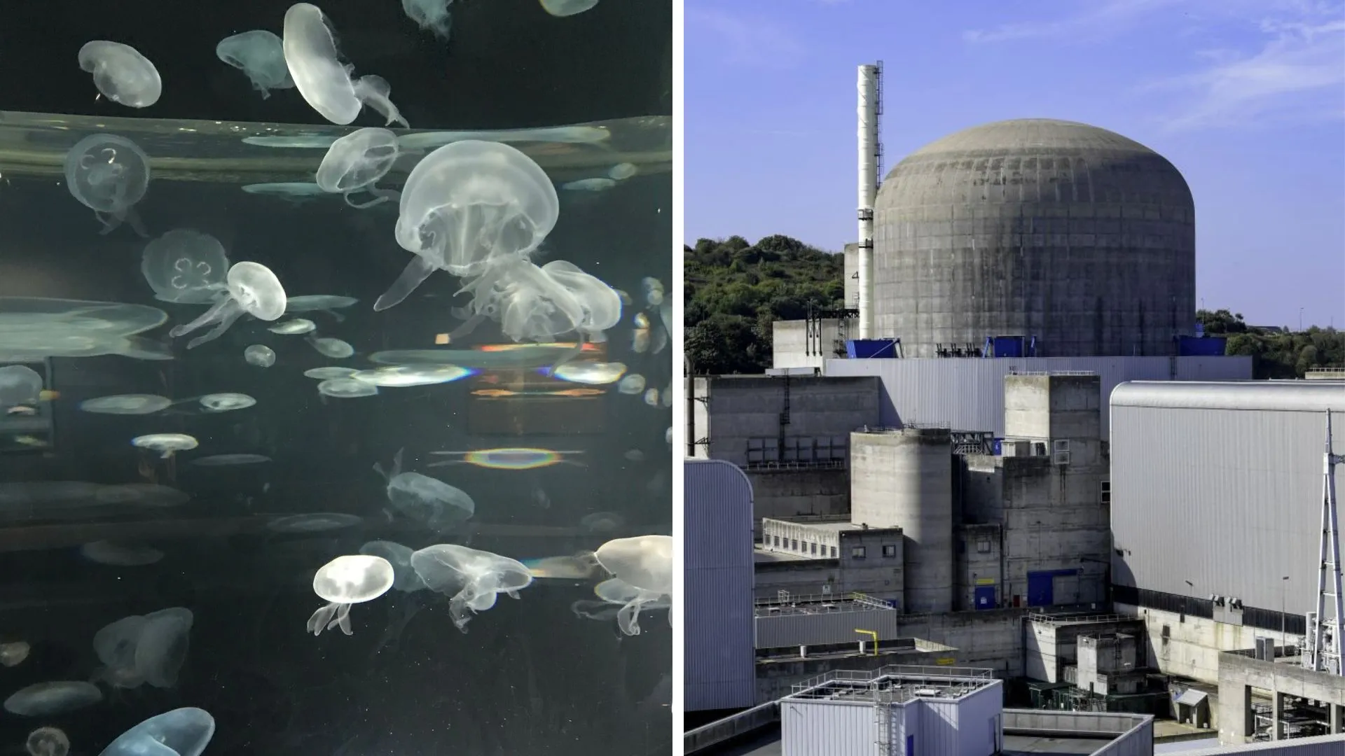 第336 頁| Techritual Hong Kong