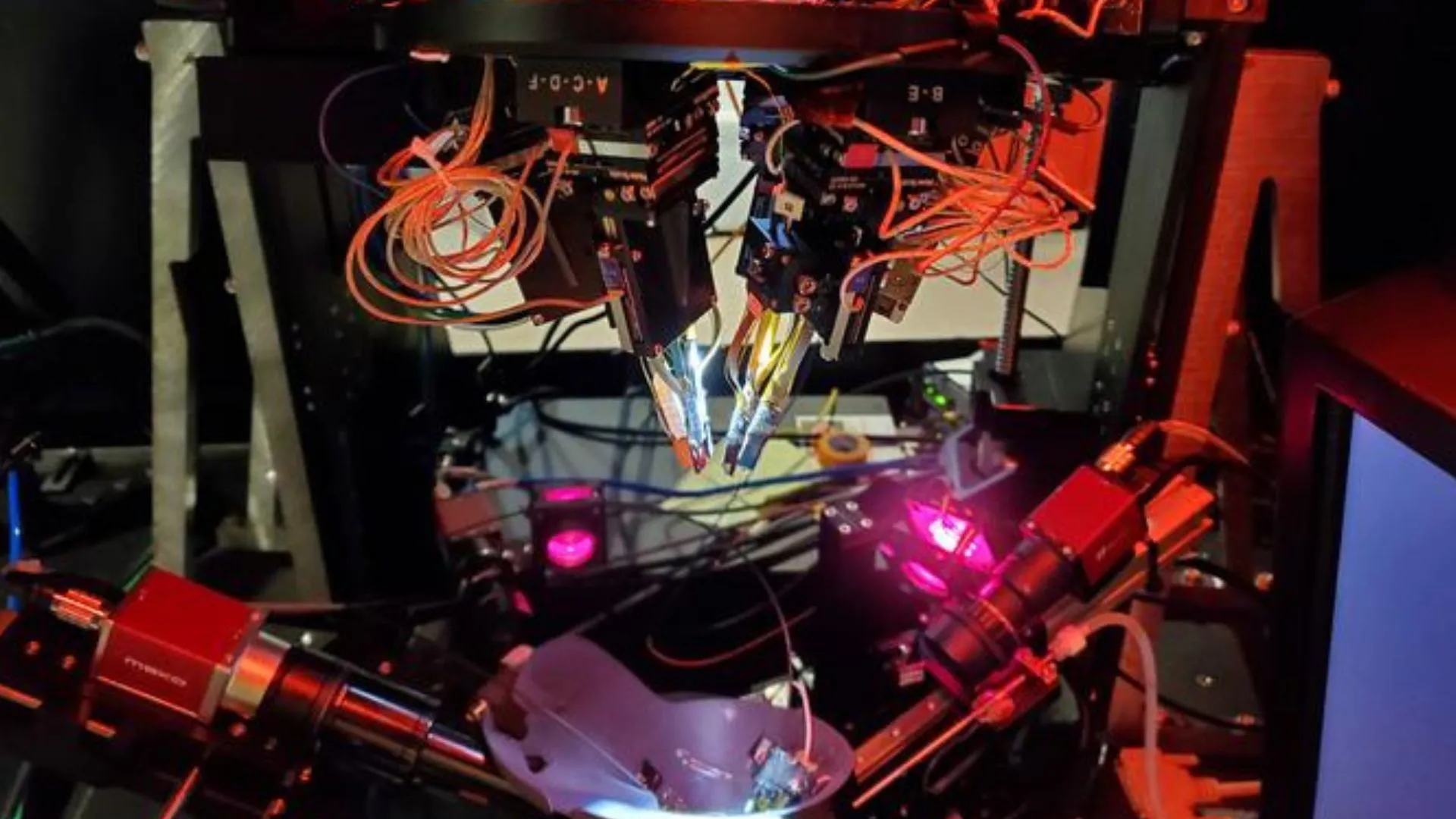 新研究顯示激光如何揭示腦細胞產生幻覺的過程