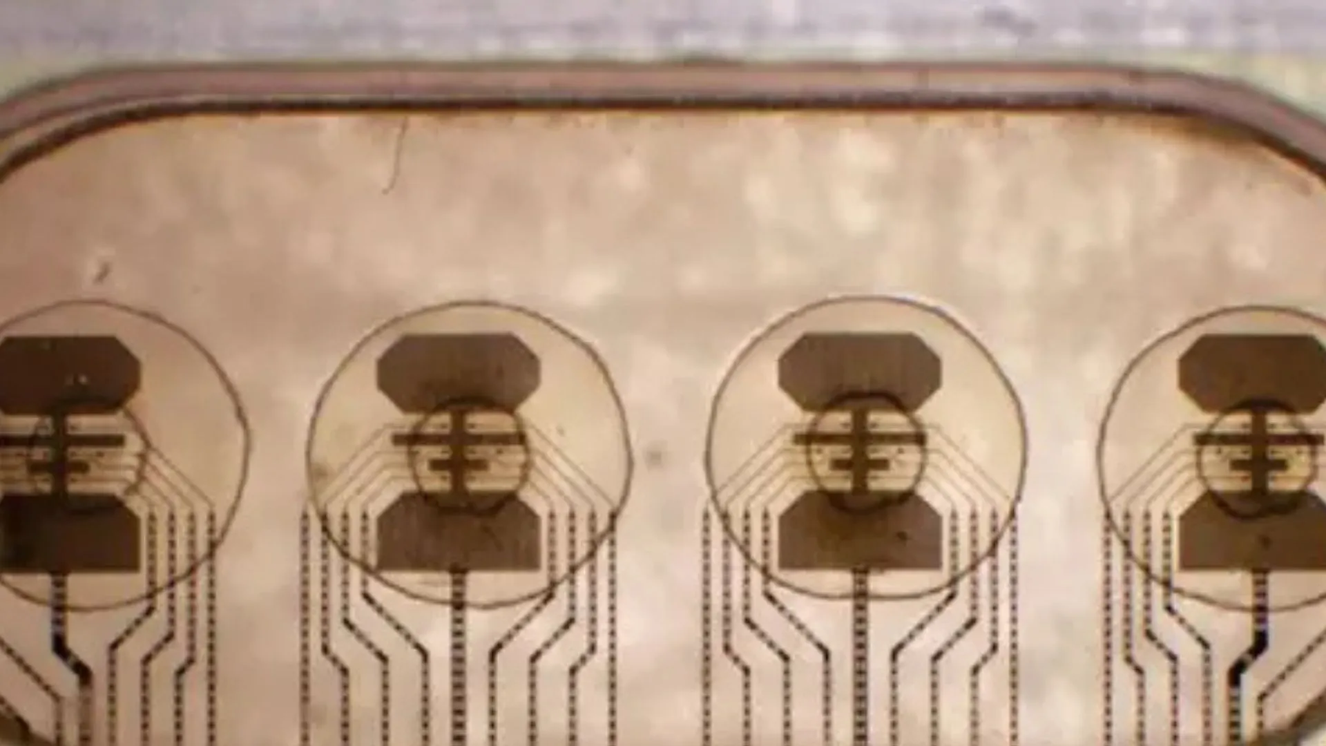 細胞基礎計算系統可促進醫療生物傳感器發展