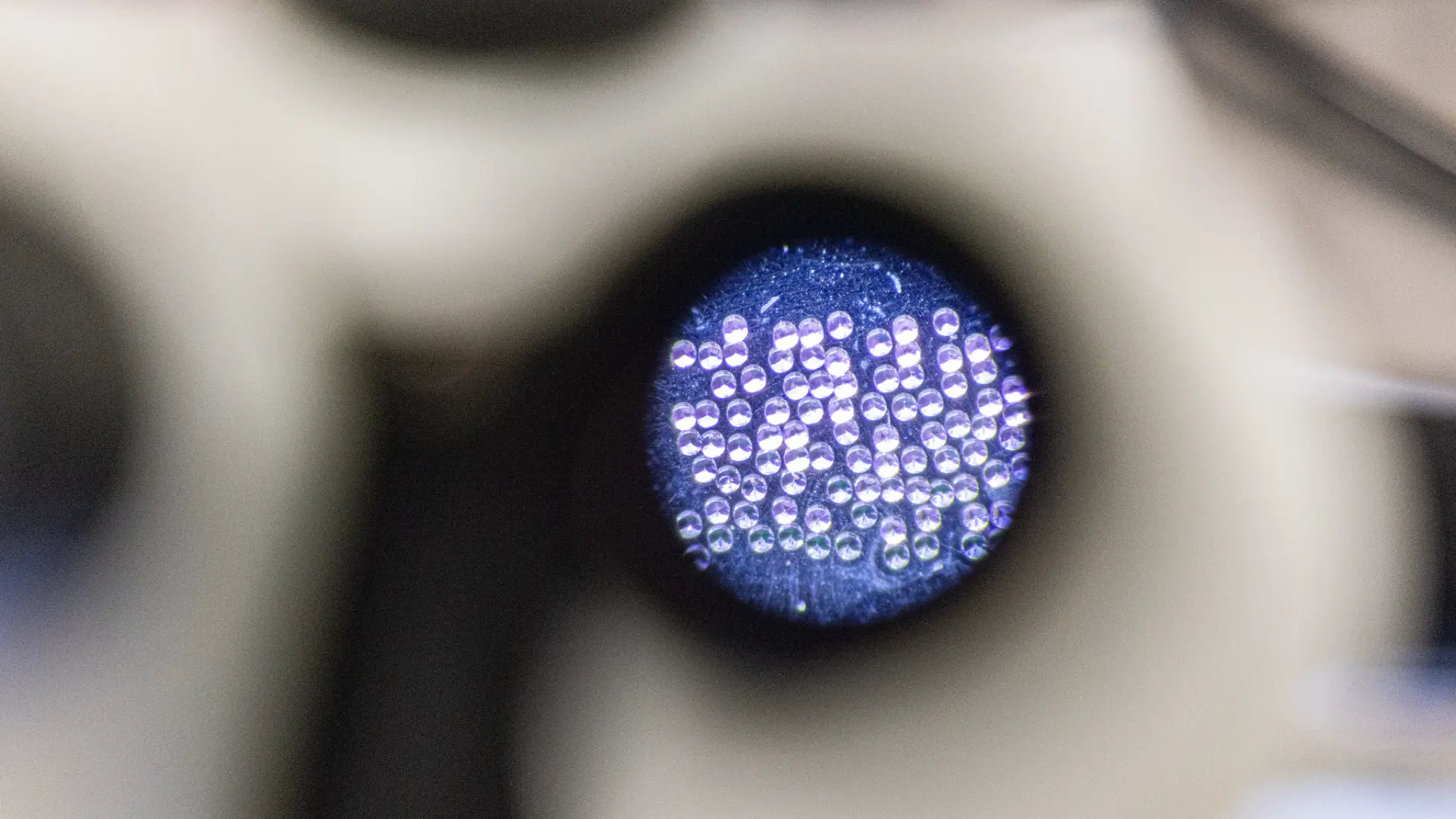 迷你顯微鏡實時揭開大腦奧秘，實現 3D 成像