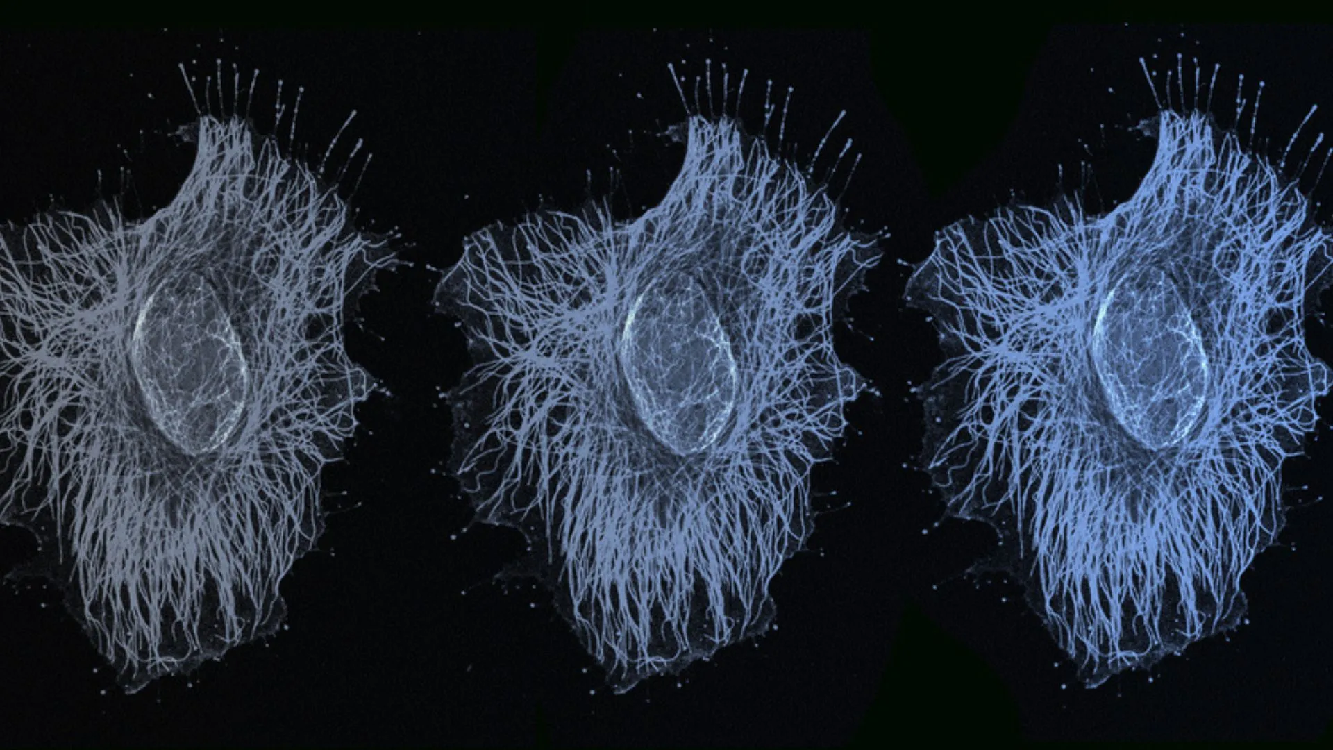 細胞如何在多層次鎖定基因的研究新發現