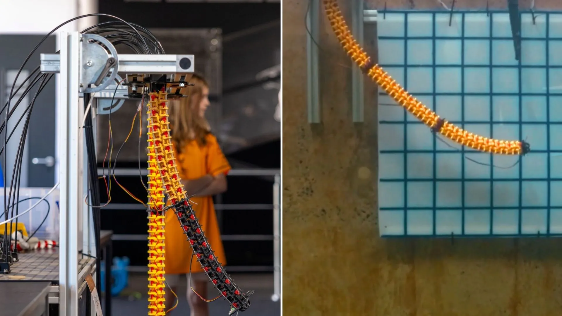 新型蛇形機器人或將改變海上水下作業方式