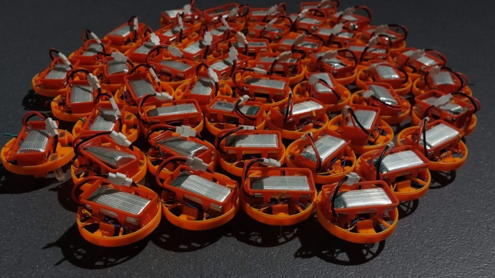 美國科學家模仿鳥類和魚類實現機器人群體控制